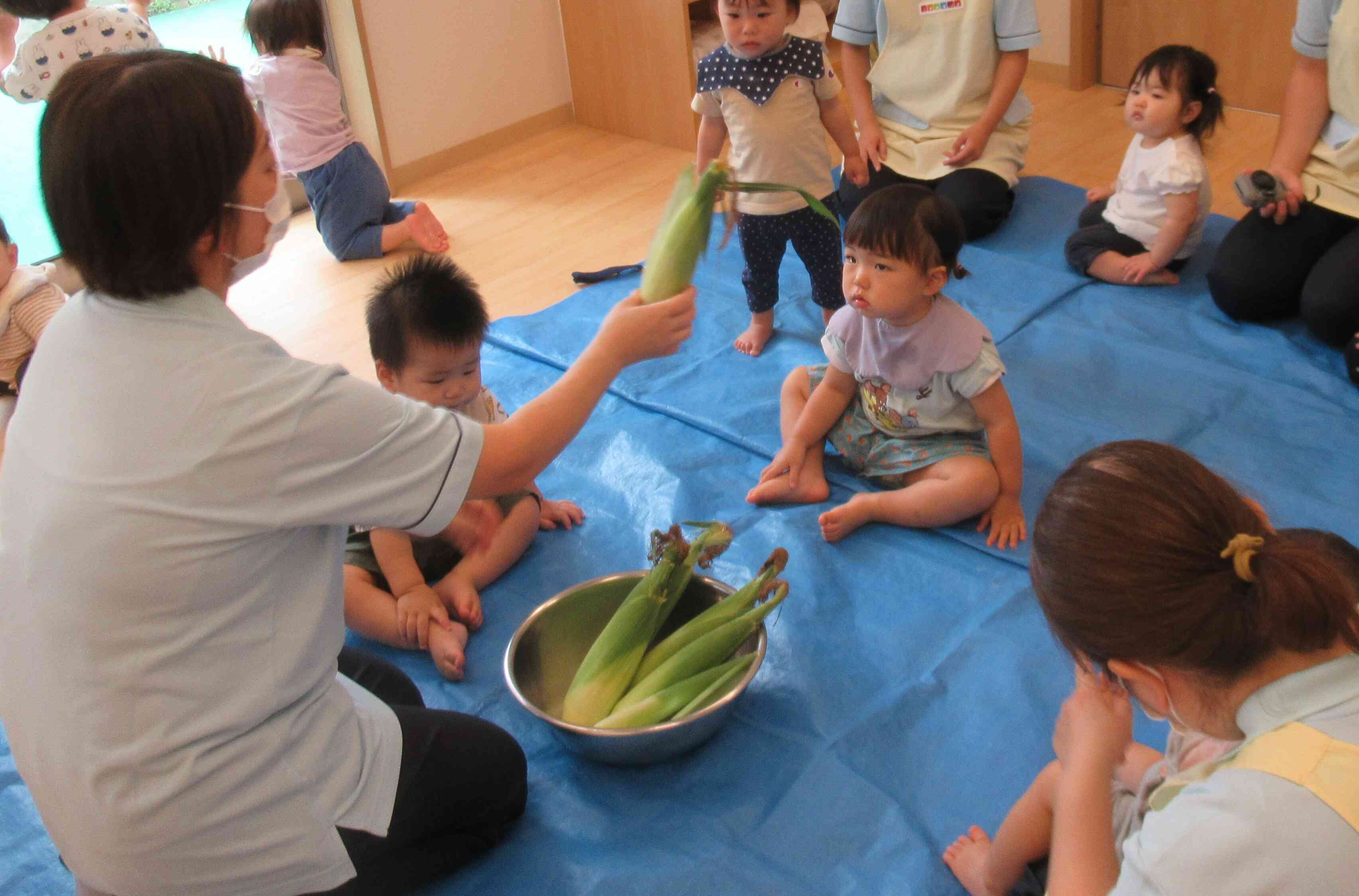 食育～トウモロコシの皮むきをしてみよう～０,1歳児☆