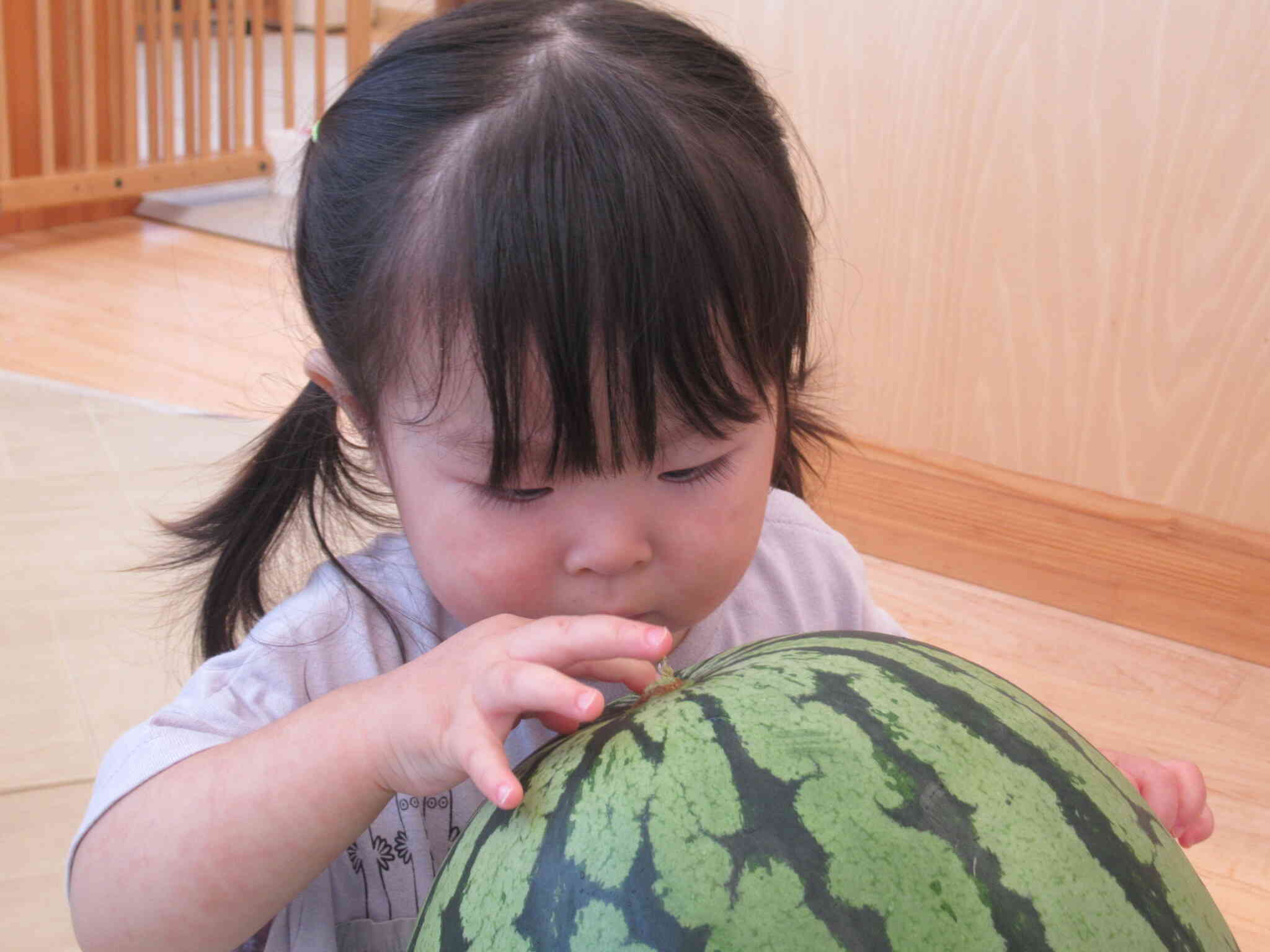 ひよこ組（０歳児）の気になる・・・