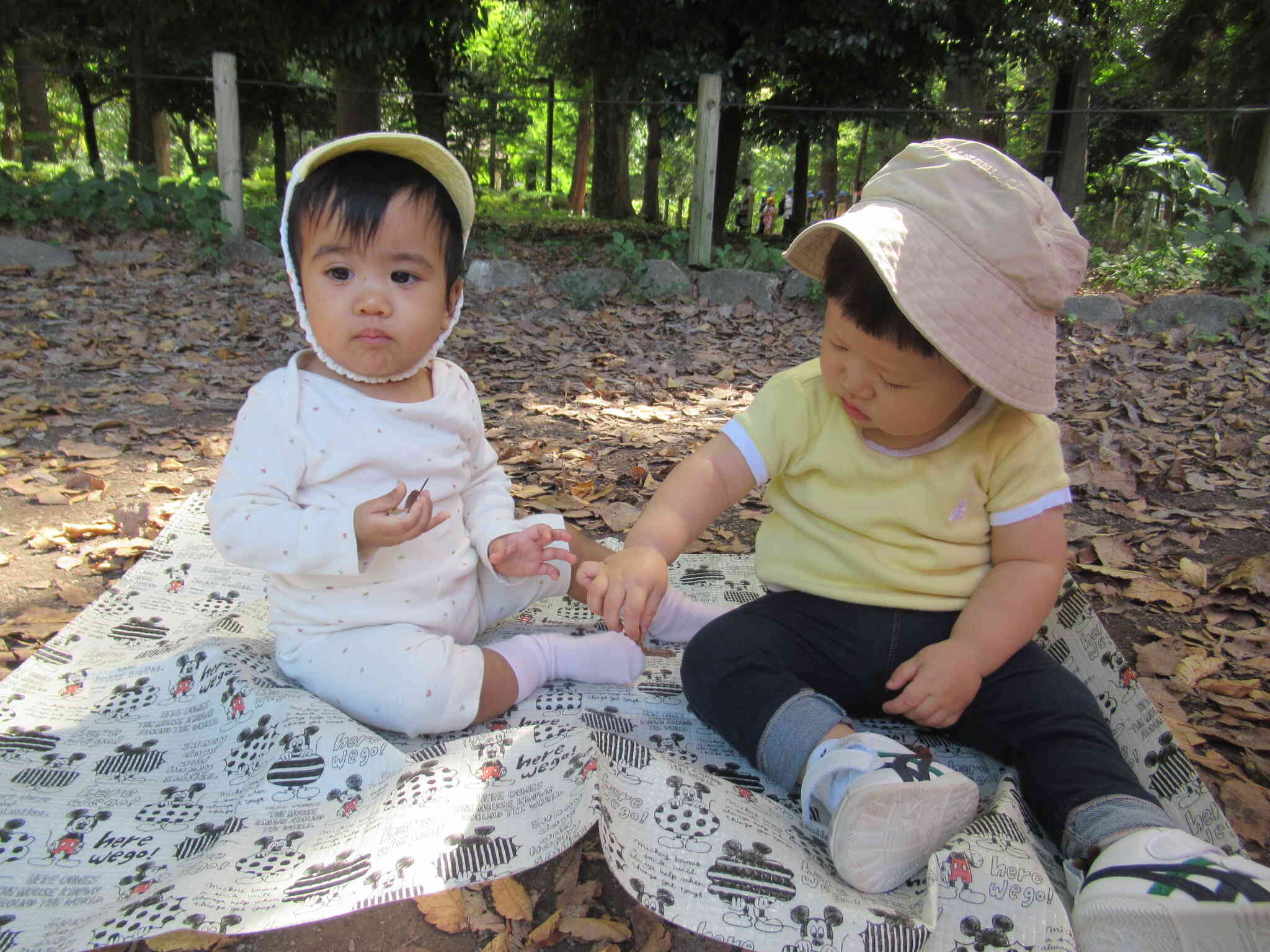 なかよくピクニック♪