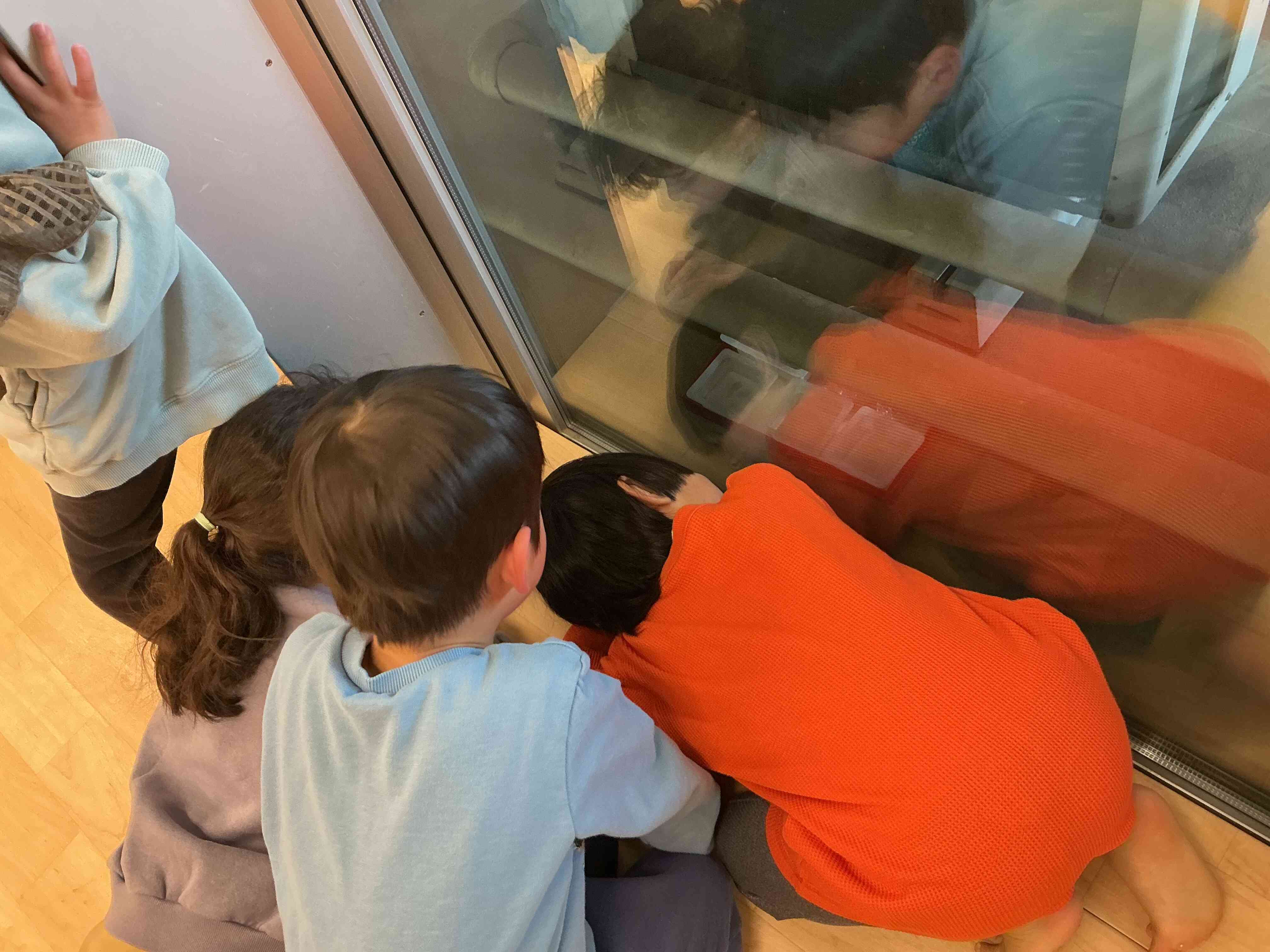 「凍りますようにー!」とお願いしていました♪