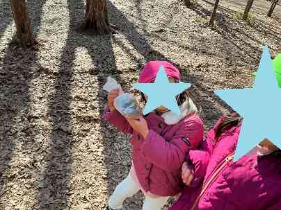 こんなに拾ったよ!