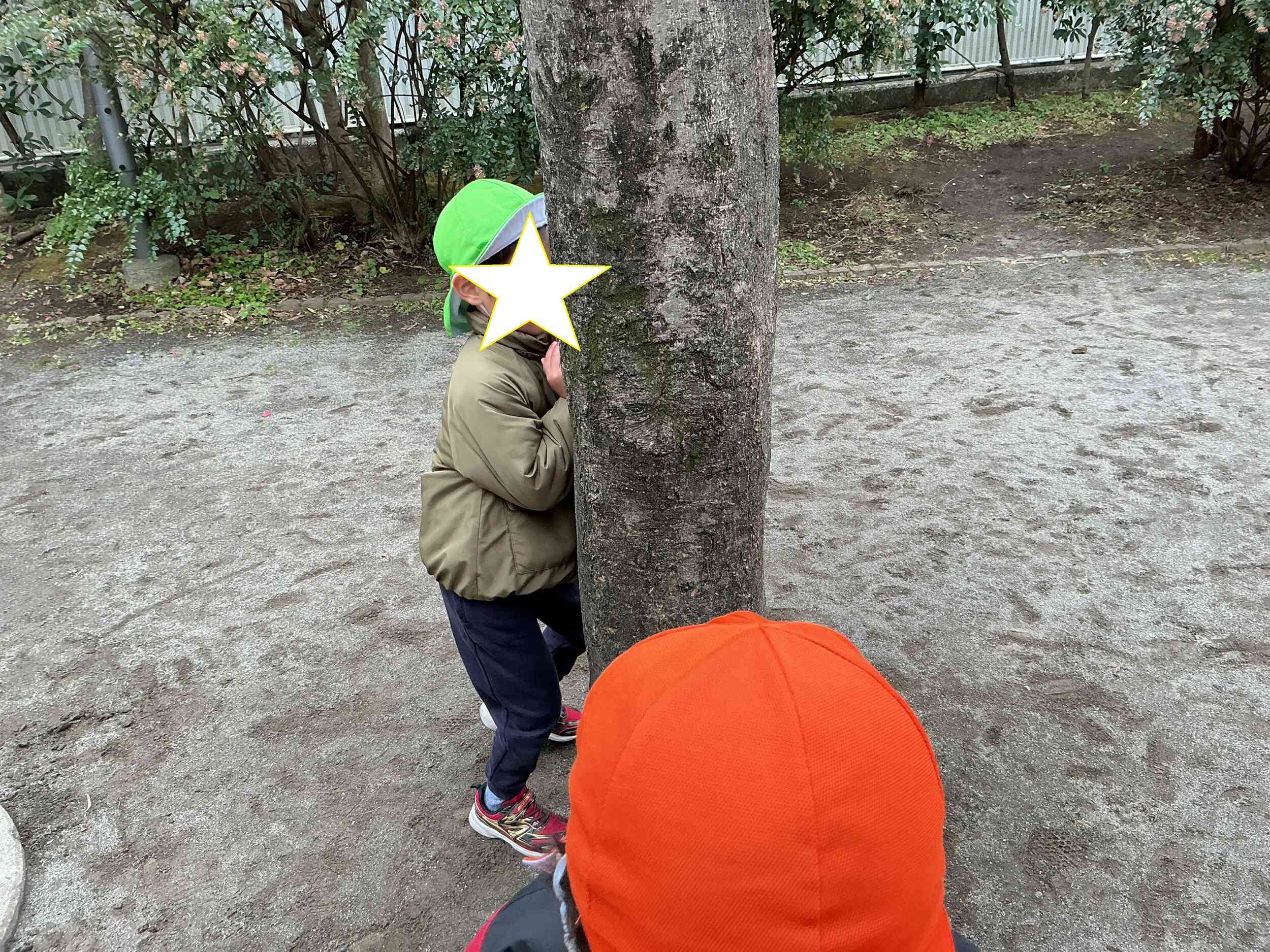 木を使って鬼から隠れています