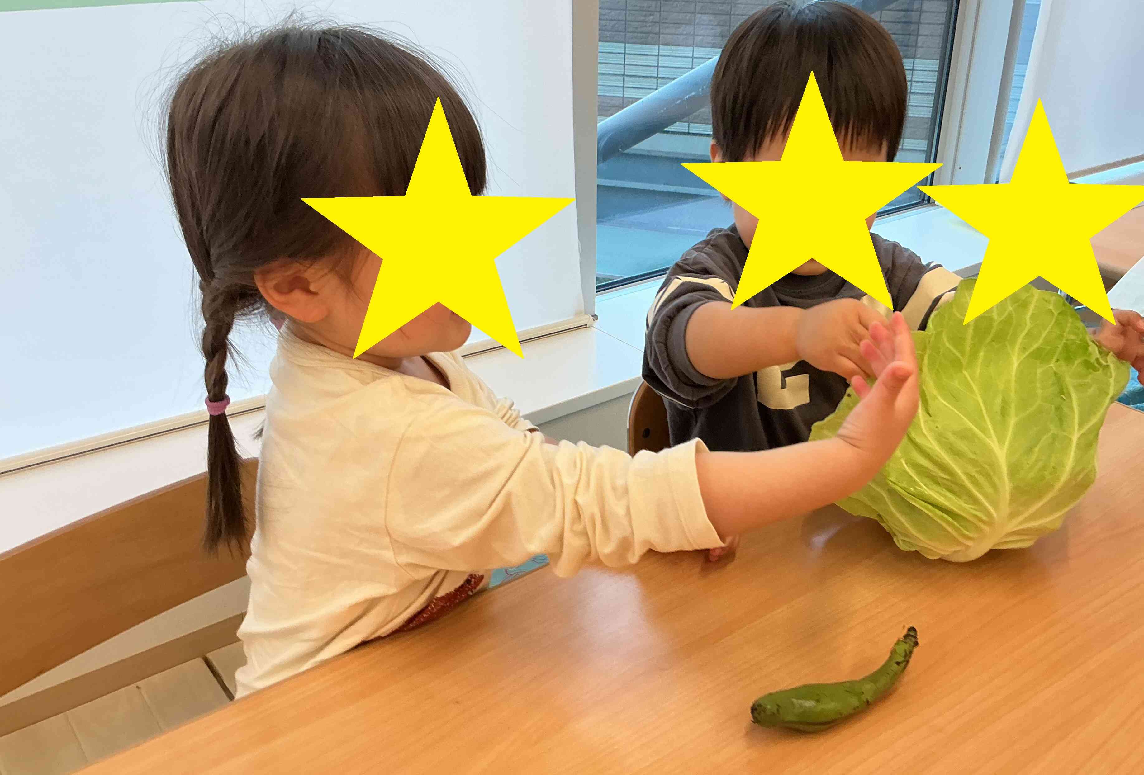 春野菜に触れたよ！