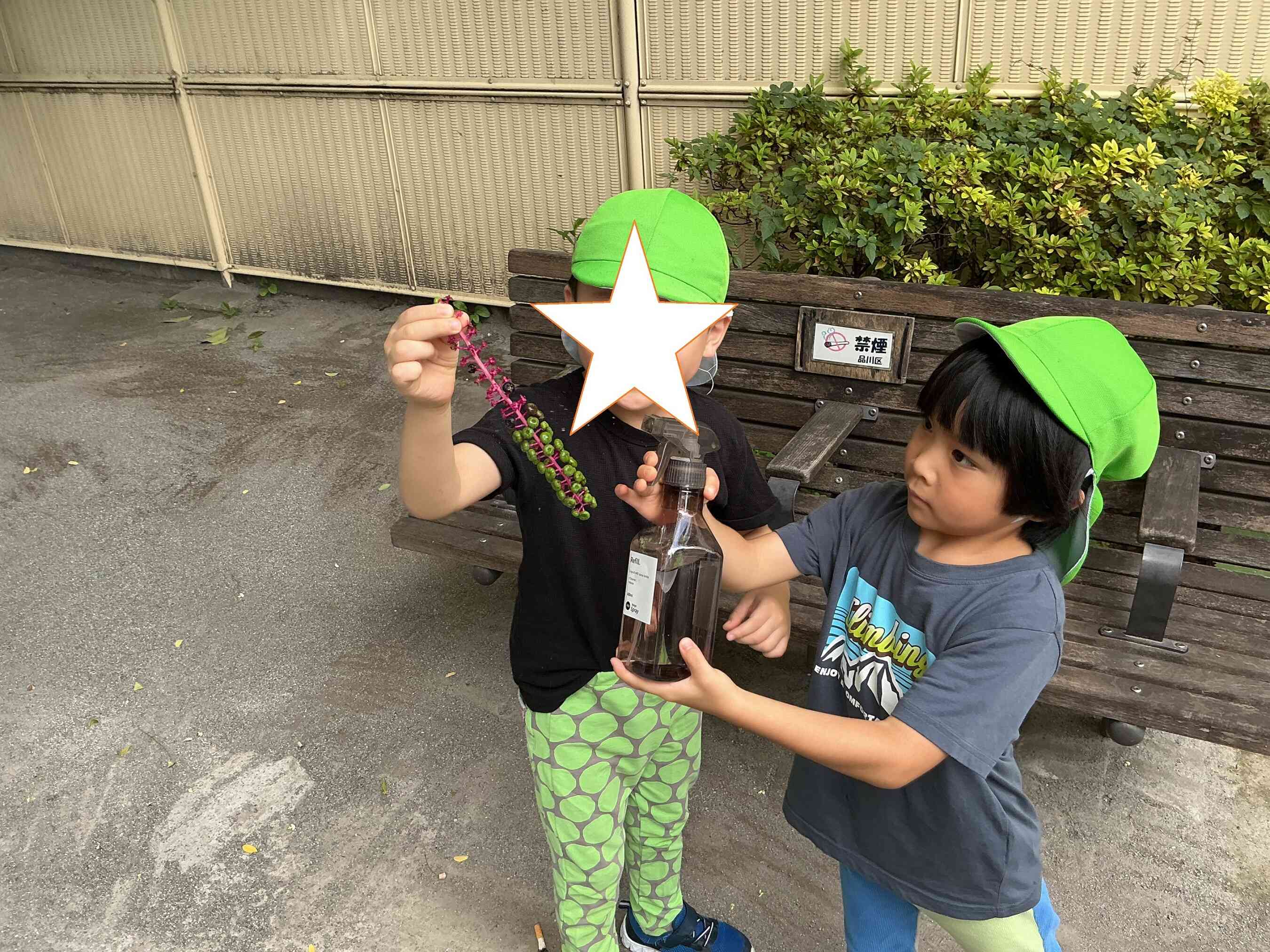 木の実を拾ったよ。霧吹きをかけたらどうなる?