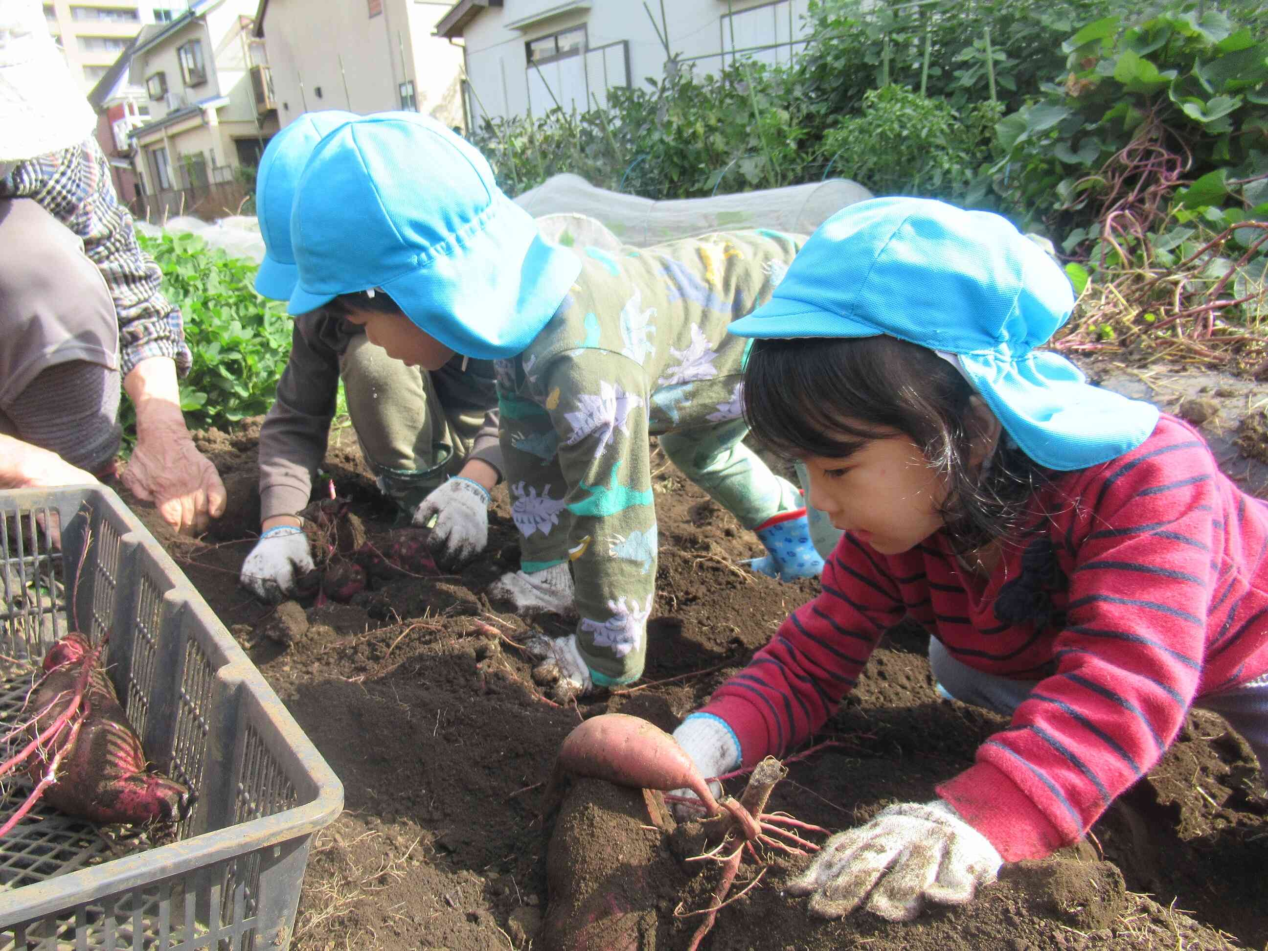 ニチイキッズ武蔵野やはた保育園