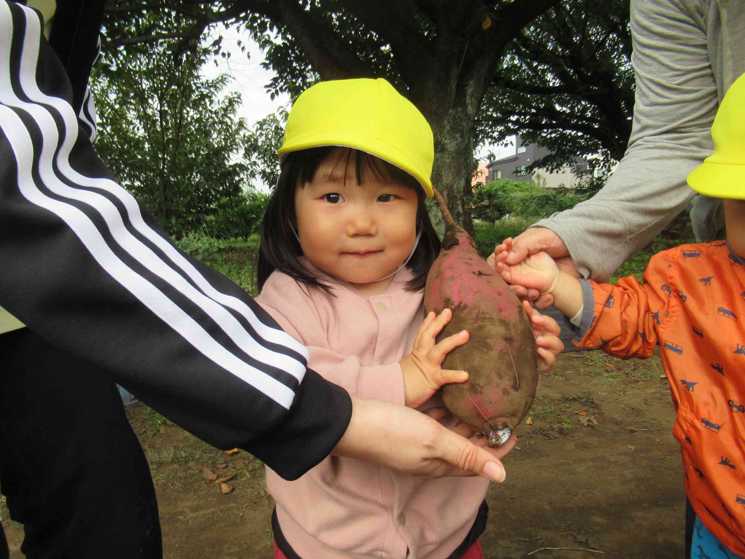 おっきなお芋持たせてもらったよ