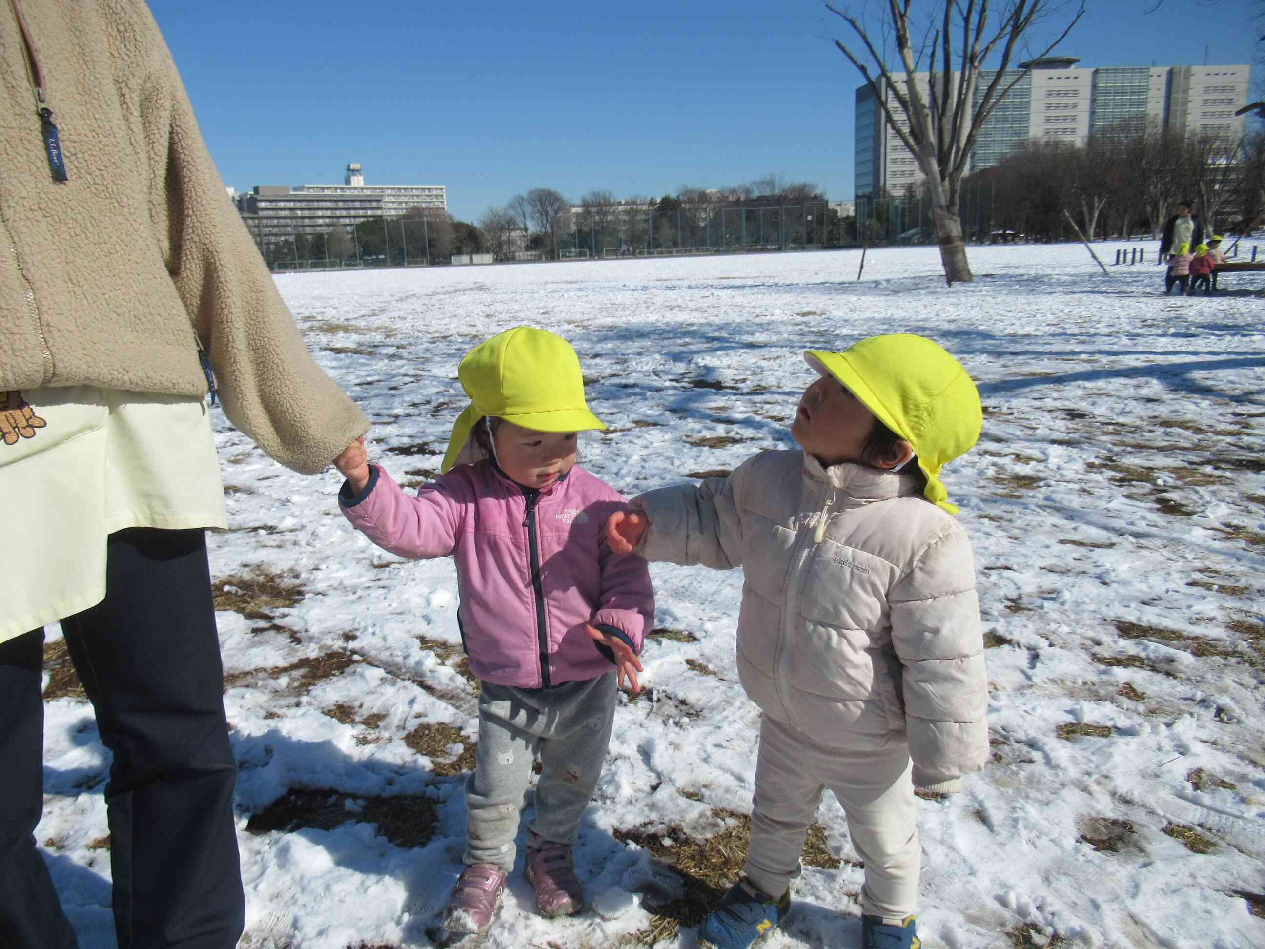 雪の上のお散歩