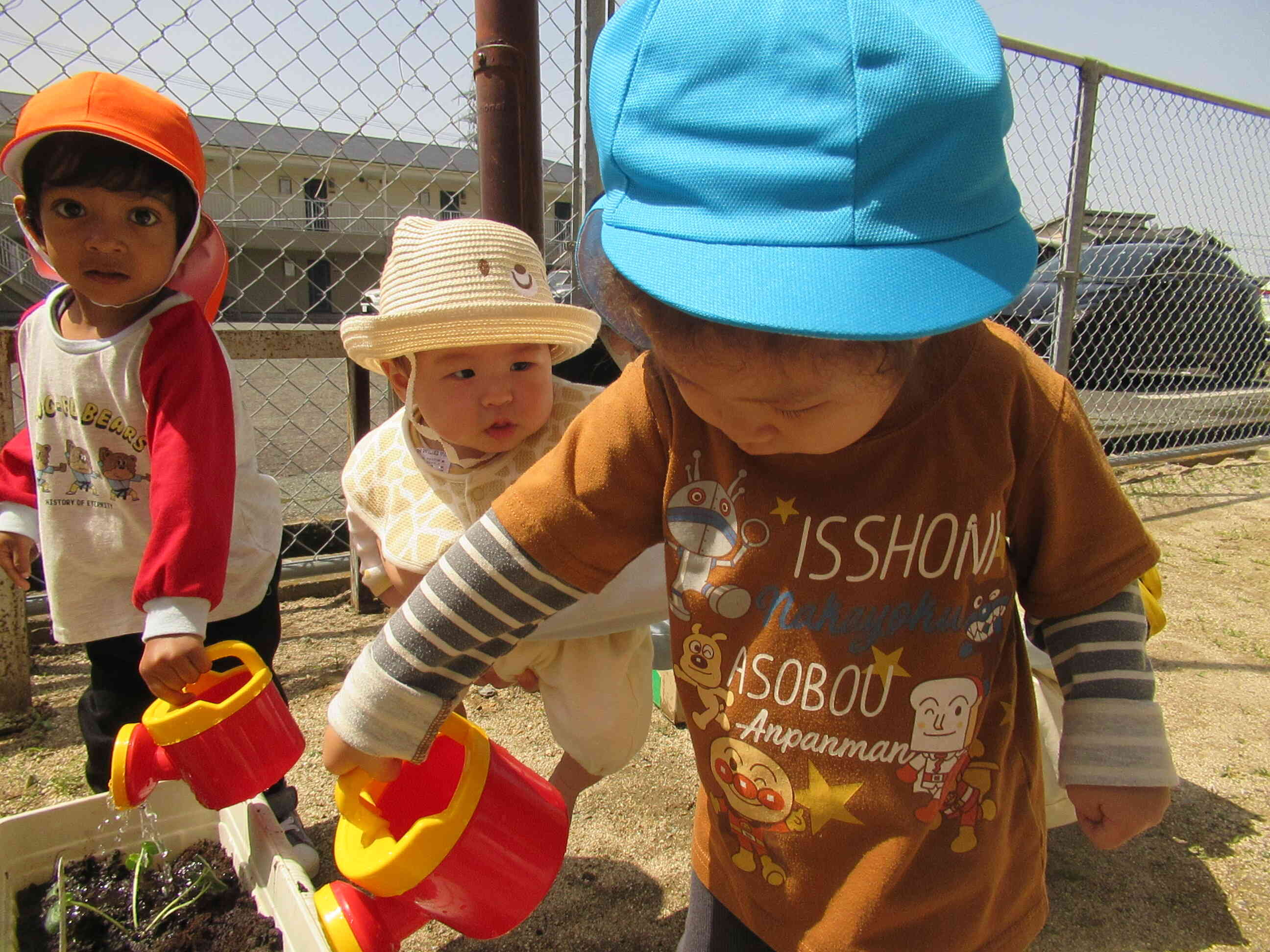野菜の苗植え～ベジタブル♬｜ニチイキッズ長浜保育園｜ニチイキッズ
