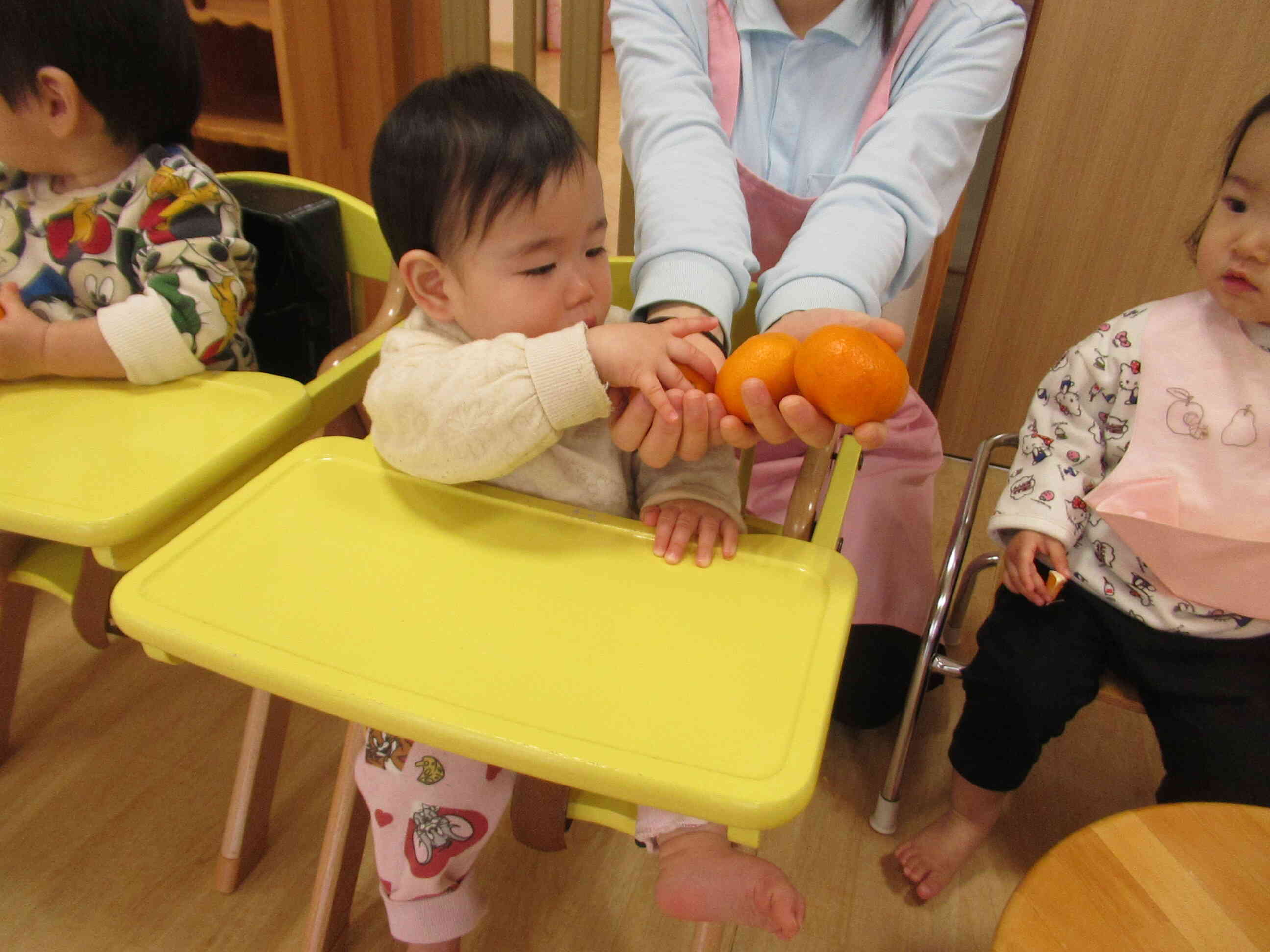 食育『みかんの皮をむいてみよう!』