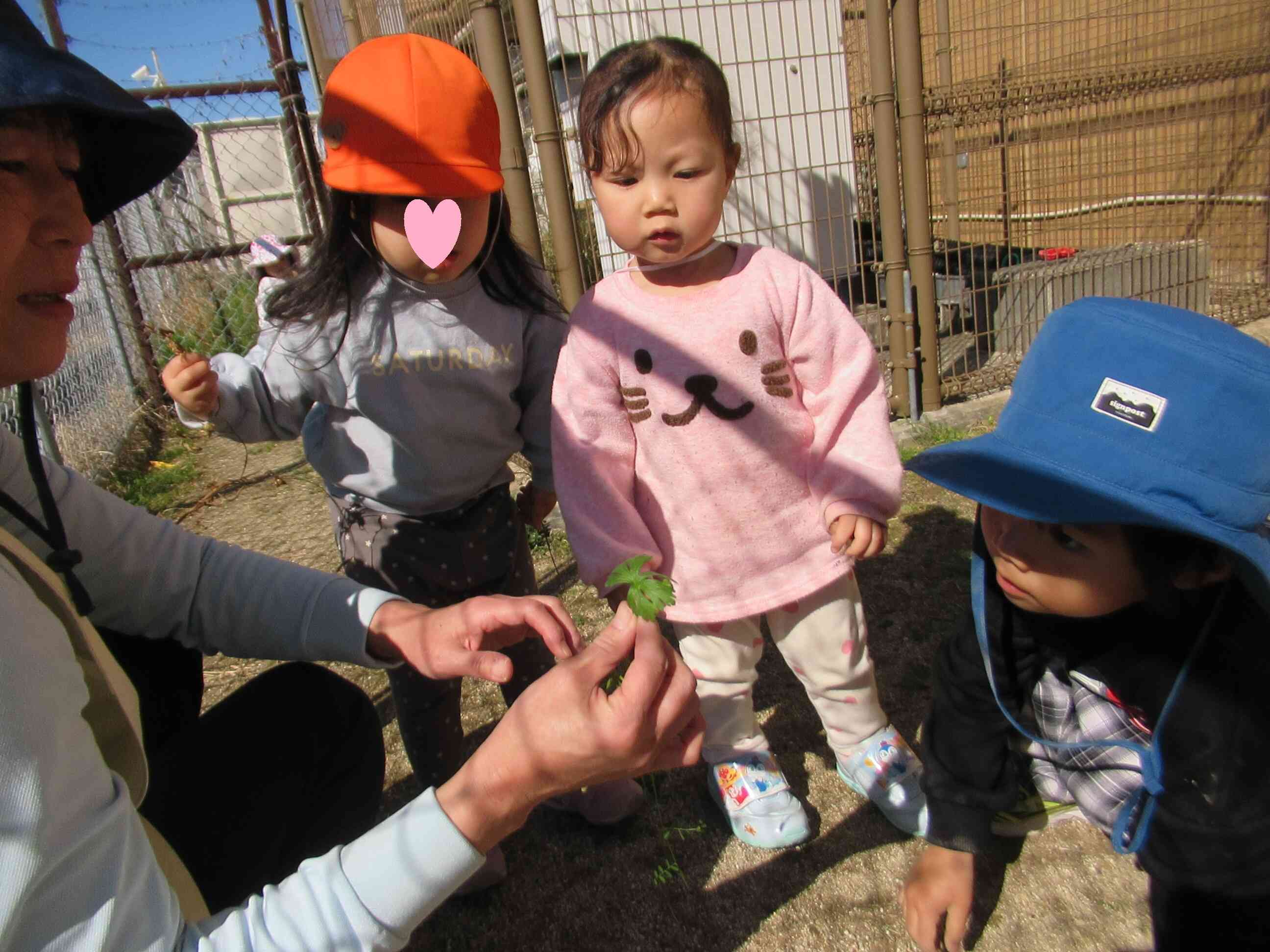 春をみつけたよ～｜ニチイキッズ長浜保育園｜ニチイキッズ