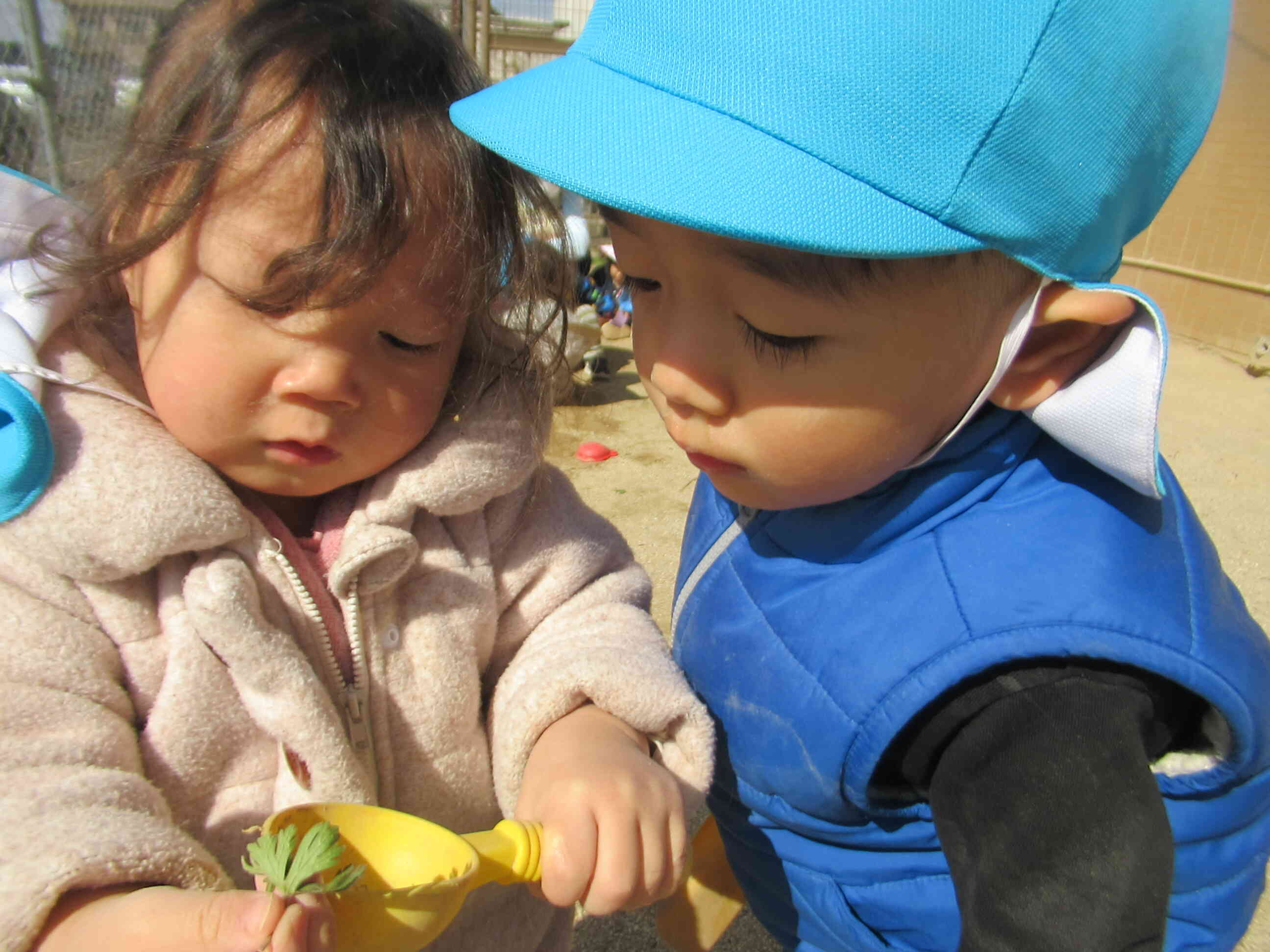 てんとう虫に夢中♡