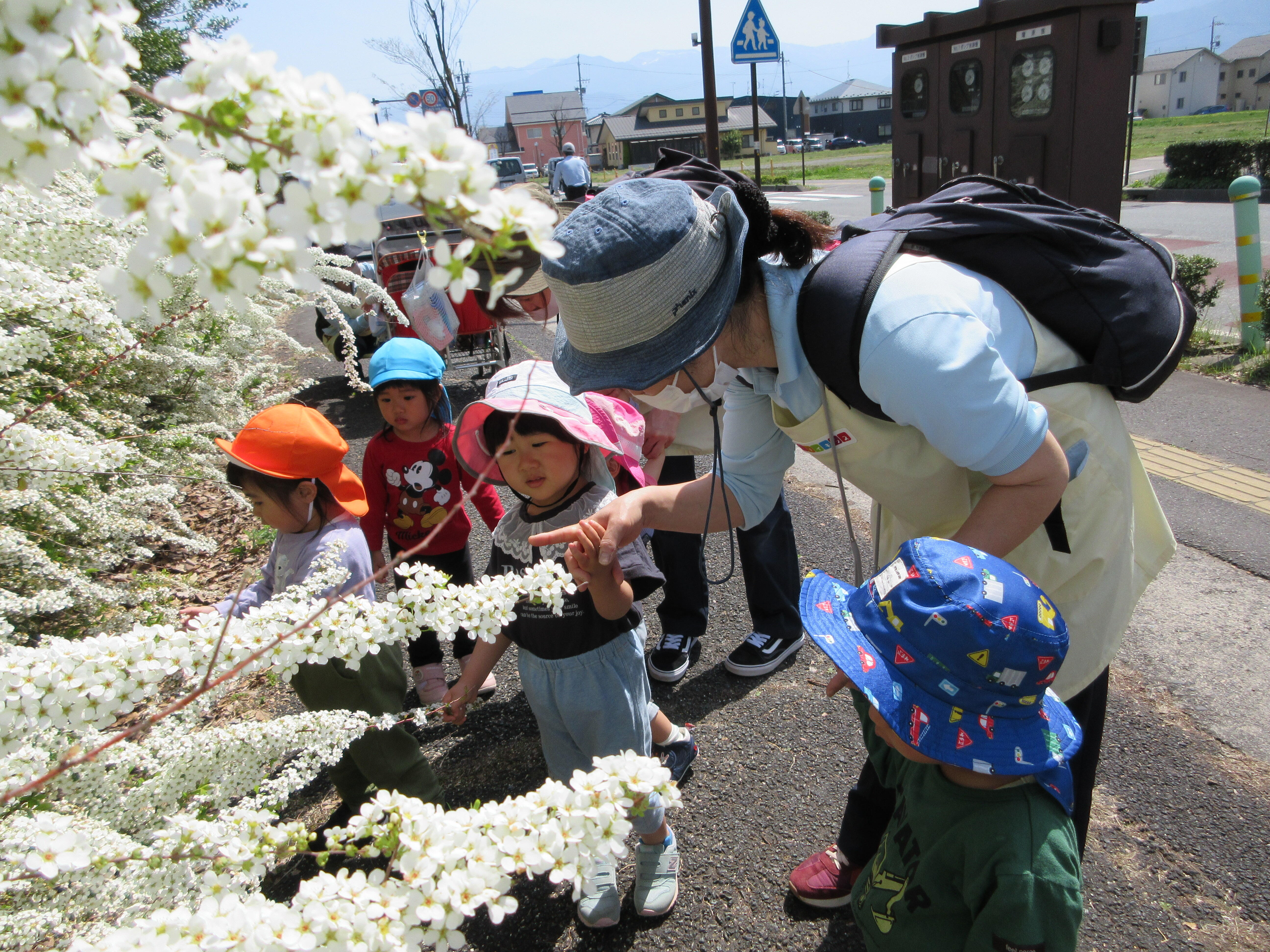 見て見て！ユキヤナギって言うんだって‼