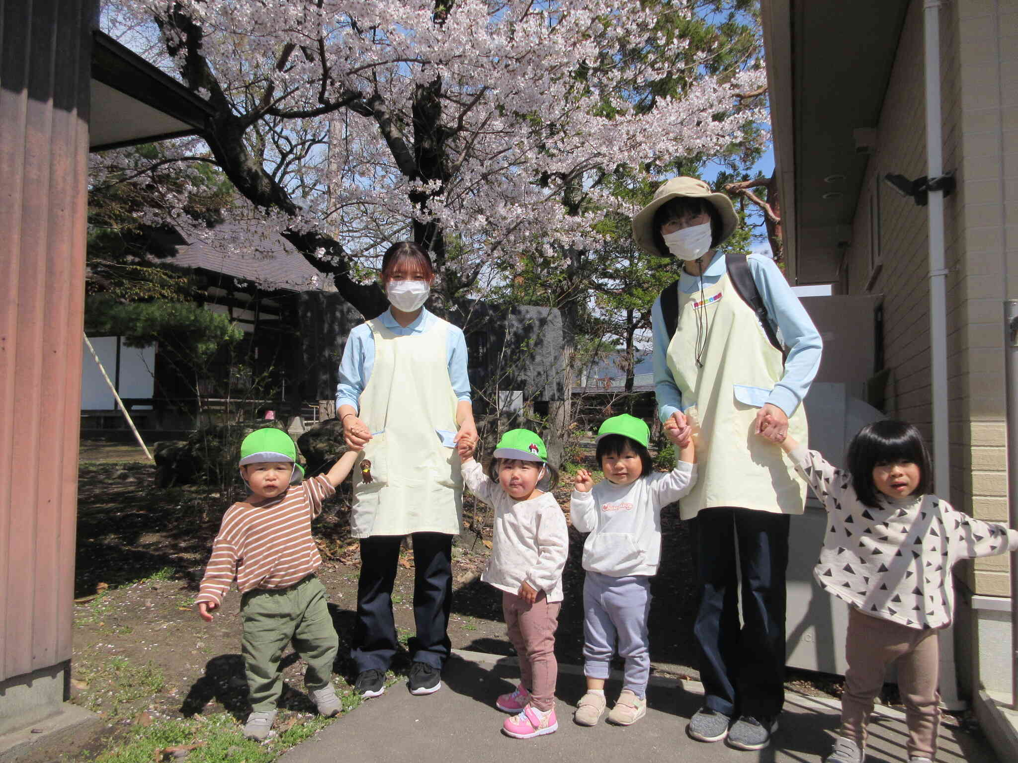 桜が満開！