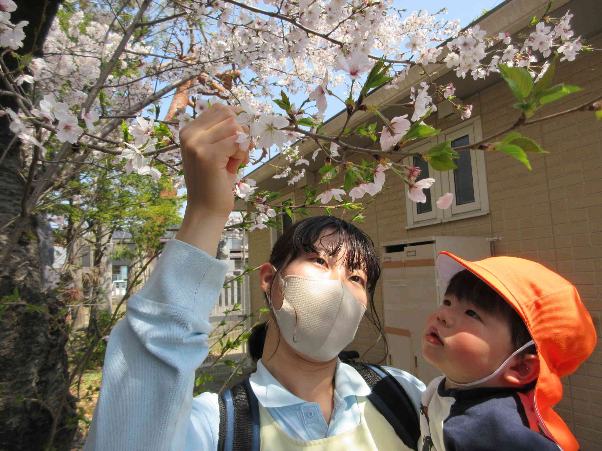 桜きれいだね～