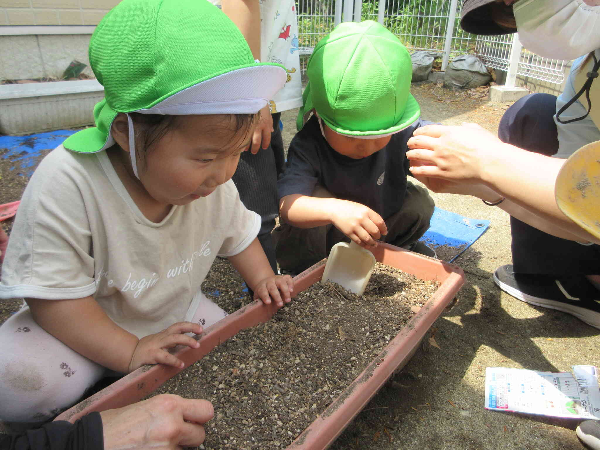 種を植えたよ！