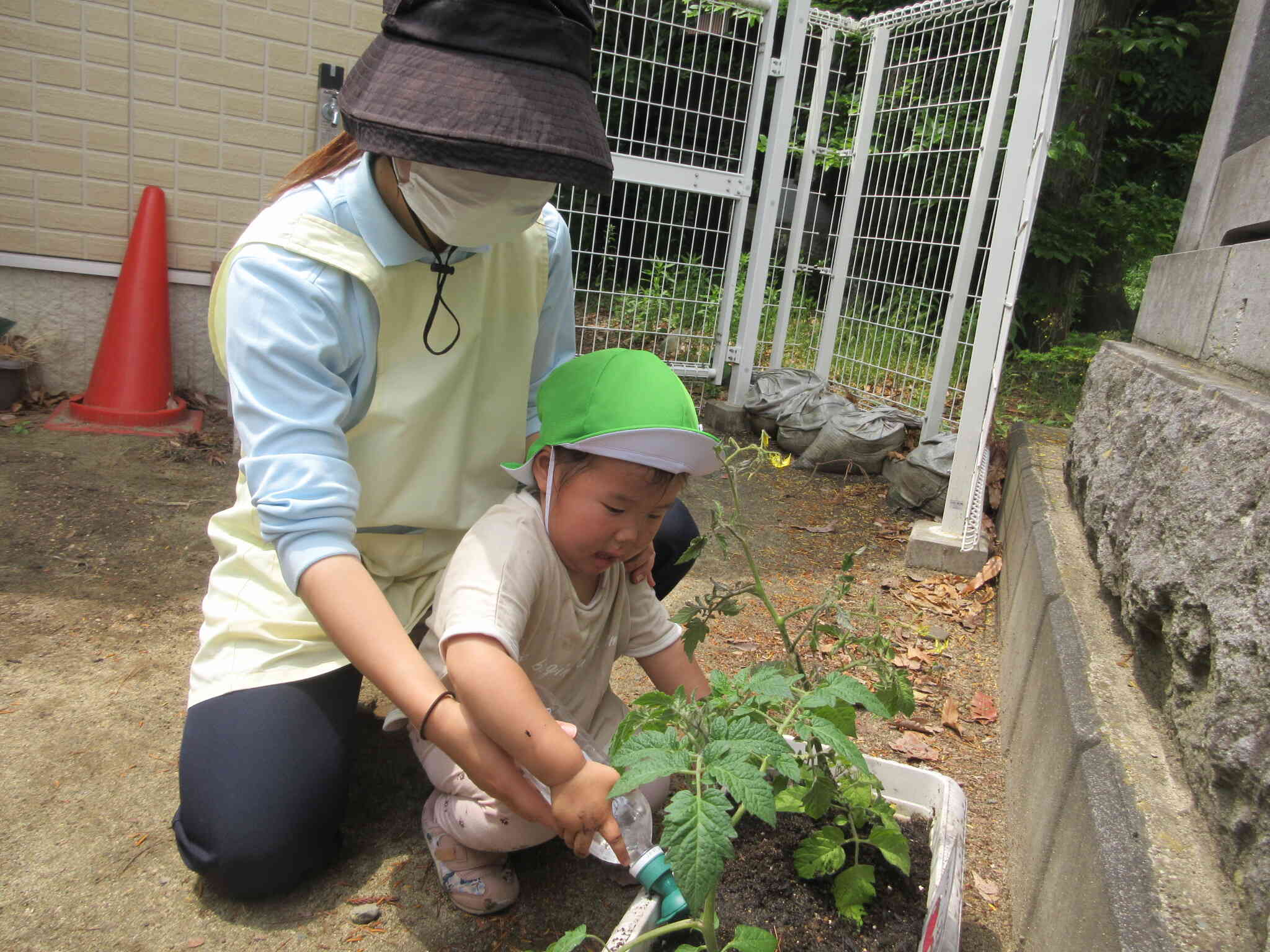 お水をあげたよ。お水、おいしいかな。