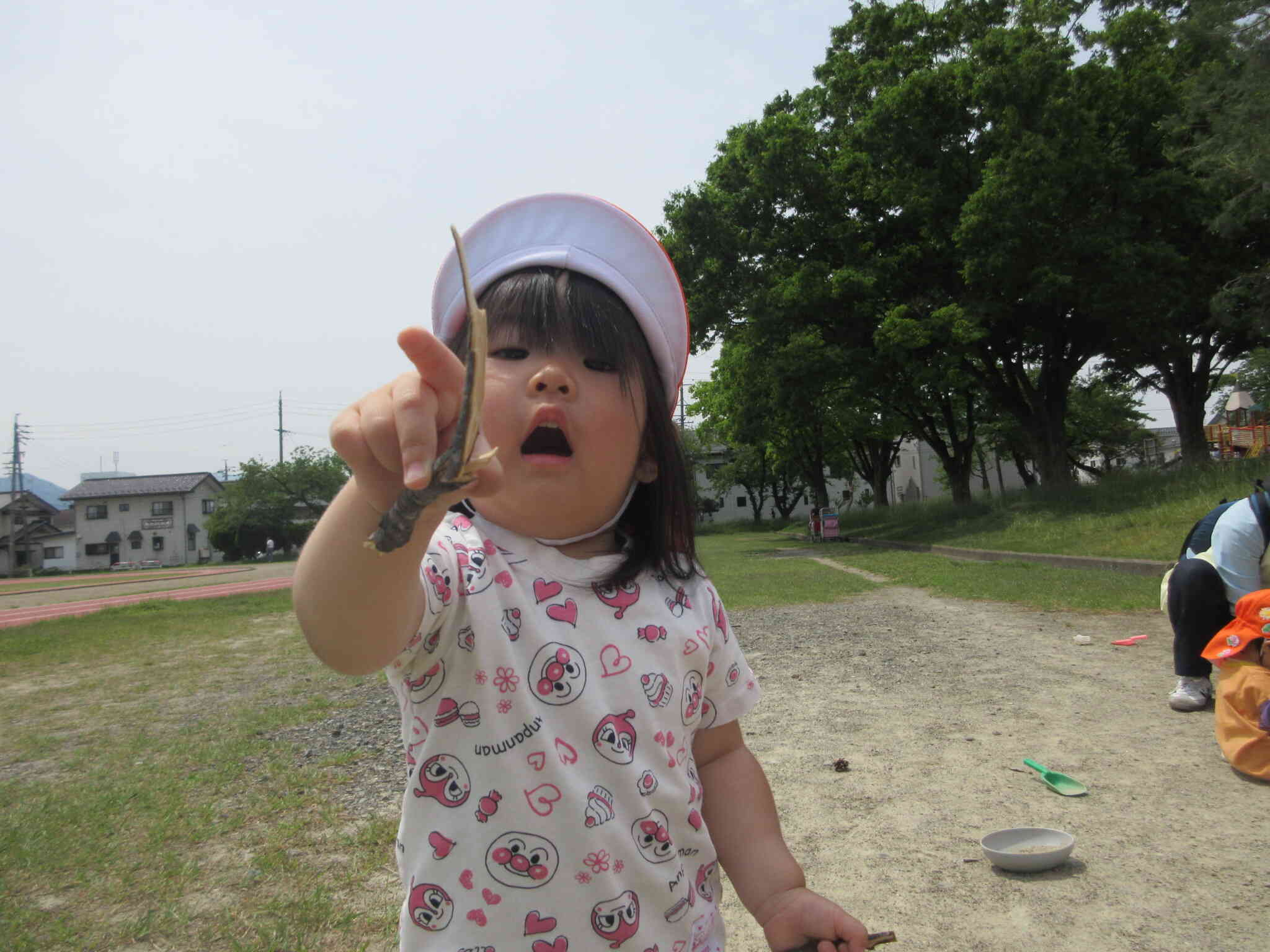 ほら見て！枝だよ‼