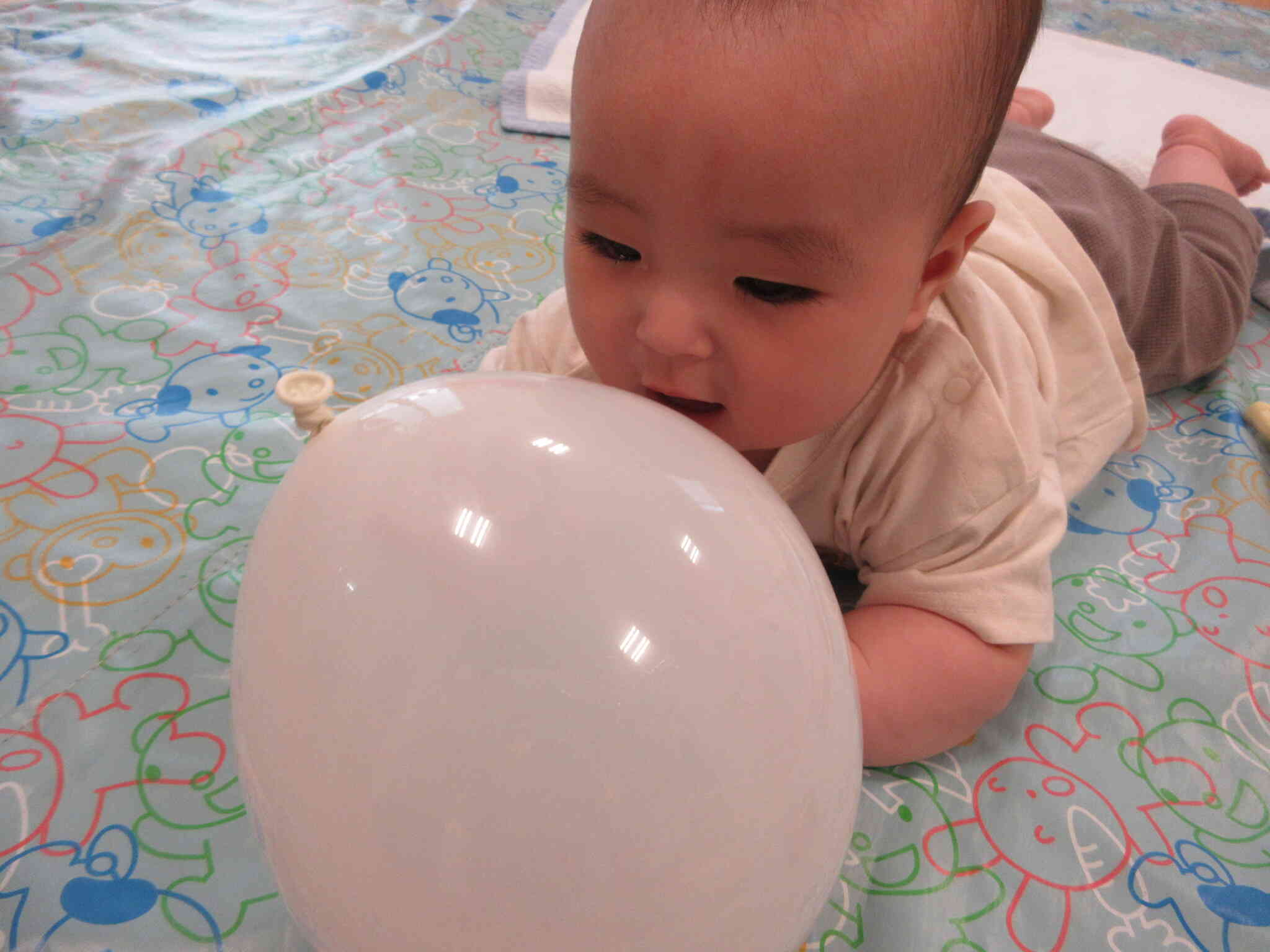 風船で遊んだよ！　～０歳児～