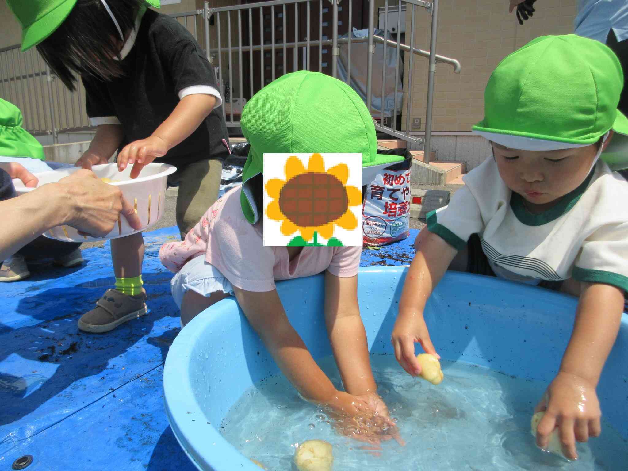 洗ってみよう!