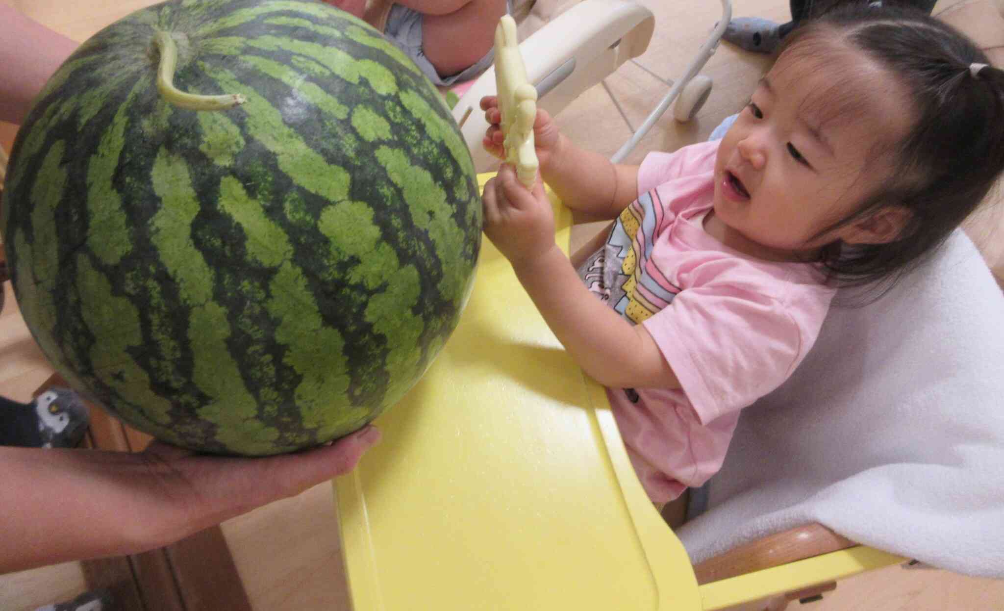 まんまる大きなすいかだね！