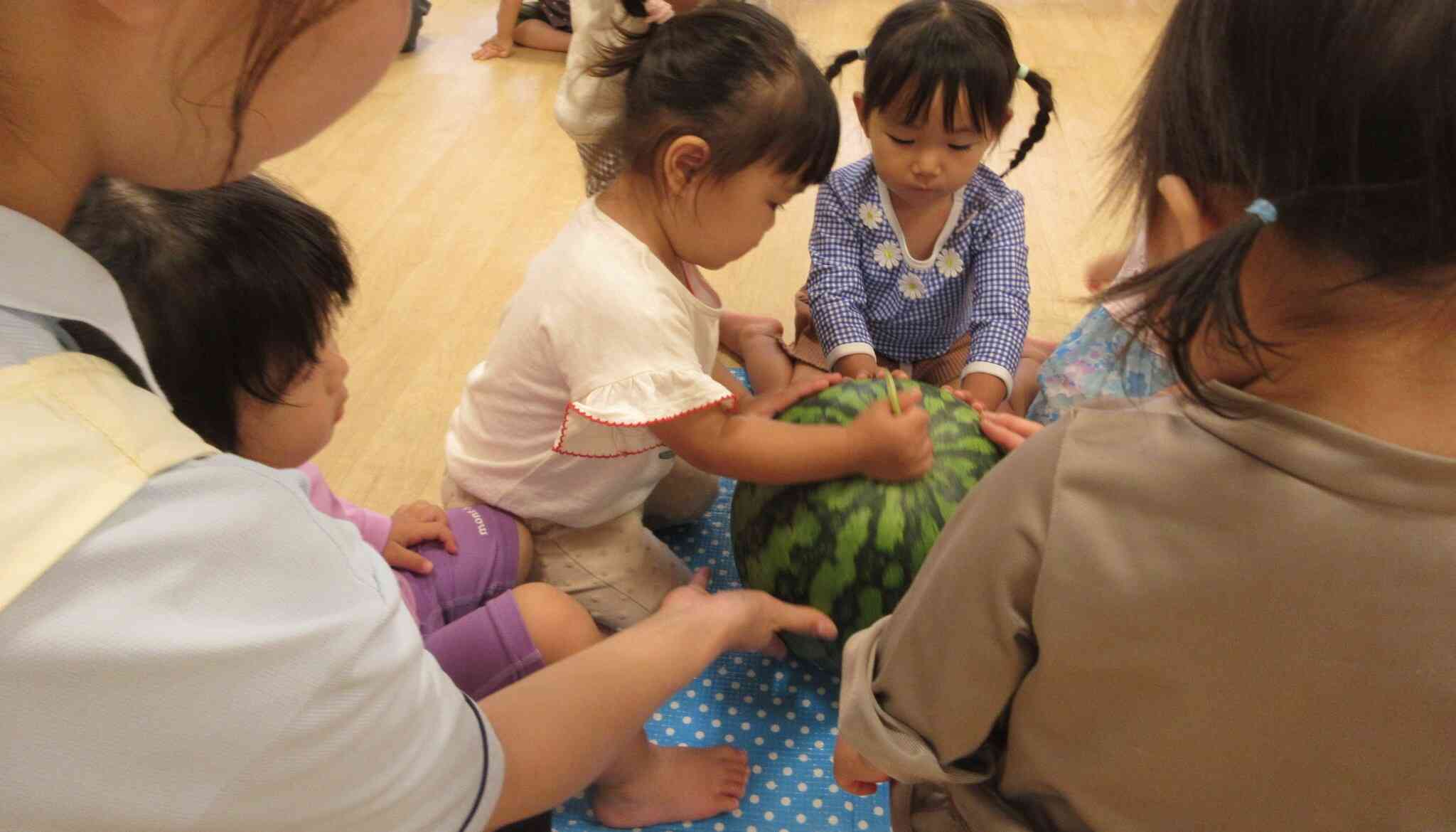 ここはすいかのツルの部分だね。
