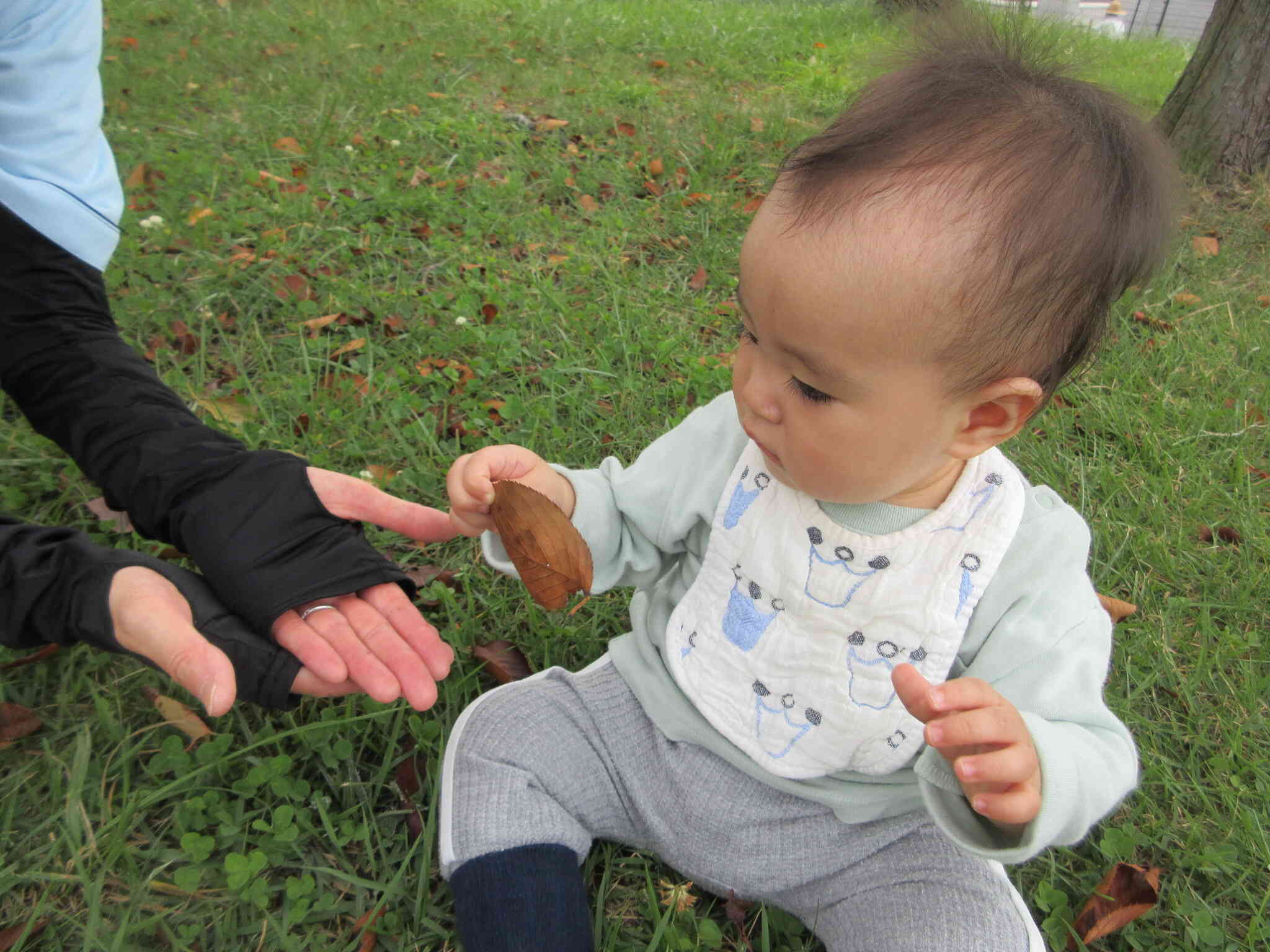 先生、葉っぱどーぞ！
