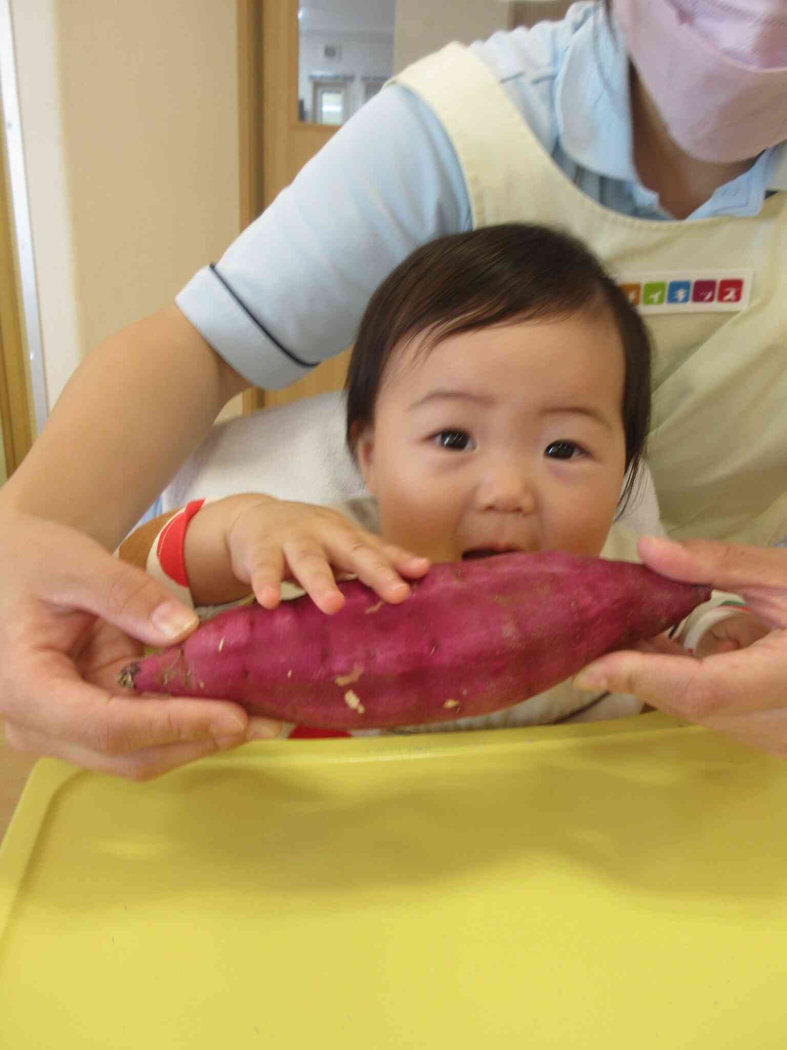 さつまいも触ってみたよ！