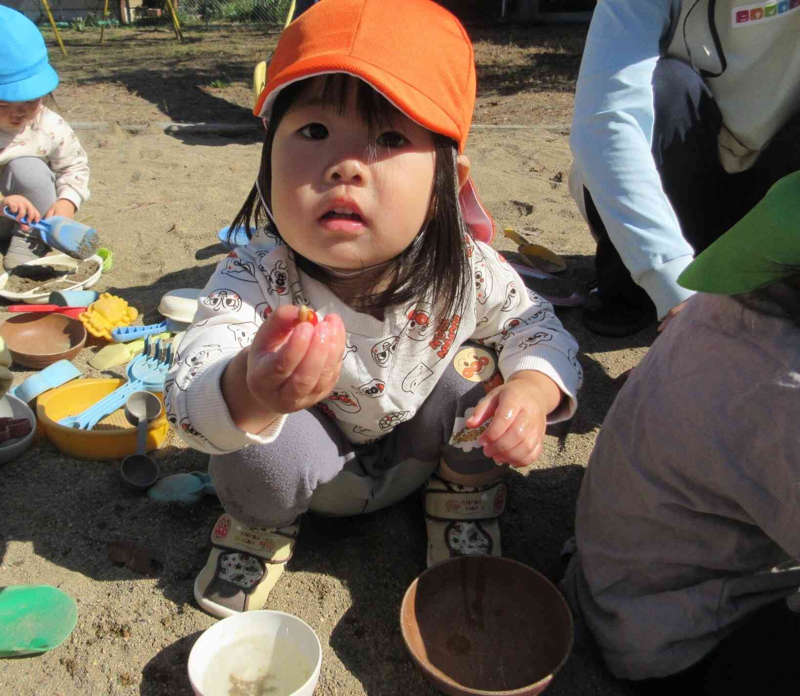 公園で赤い実、見つけたよ！