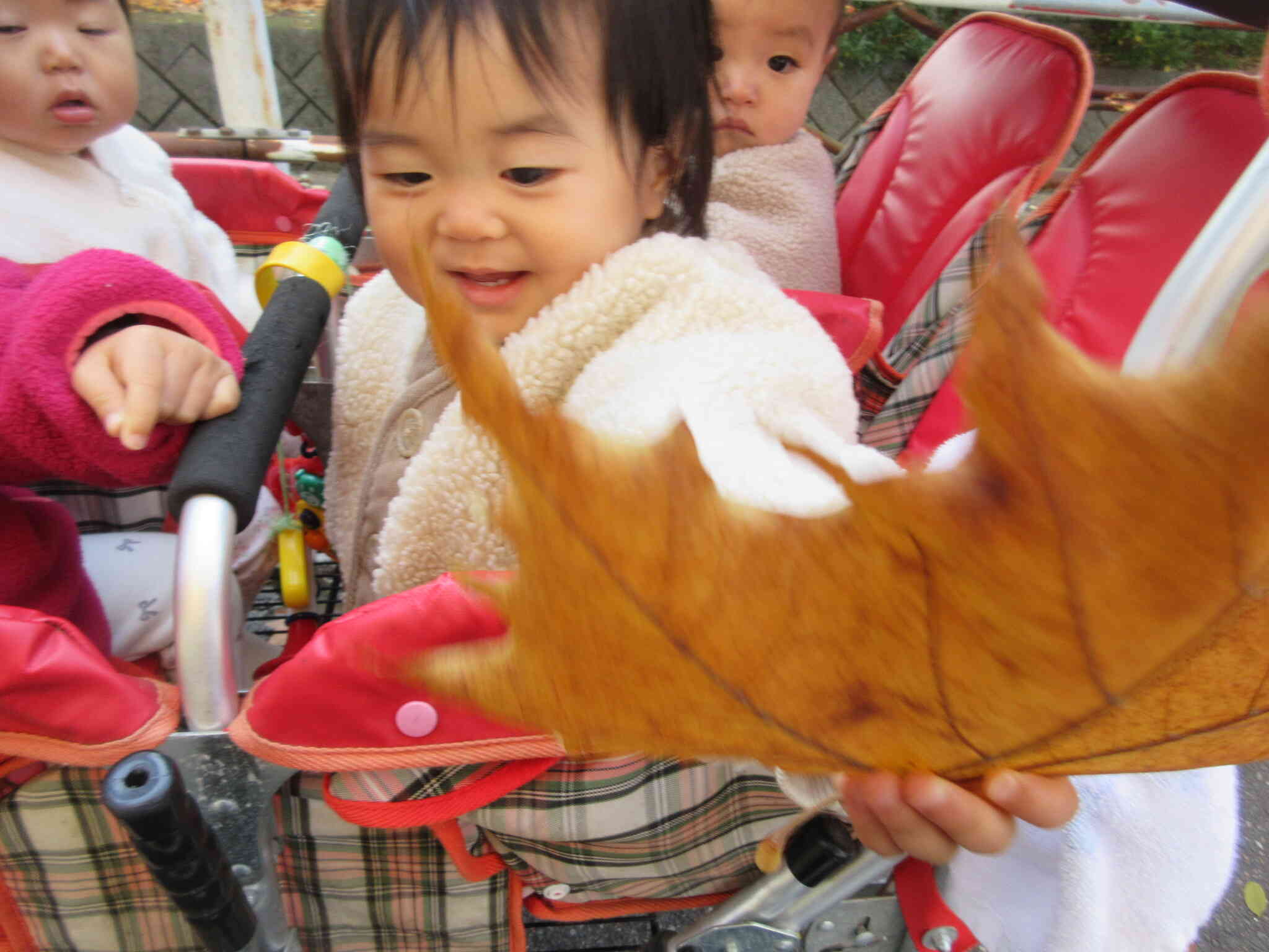 大きい葉っぱ、みーつけた！！　～０歳児～