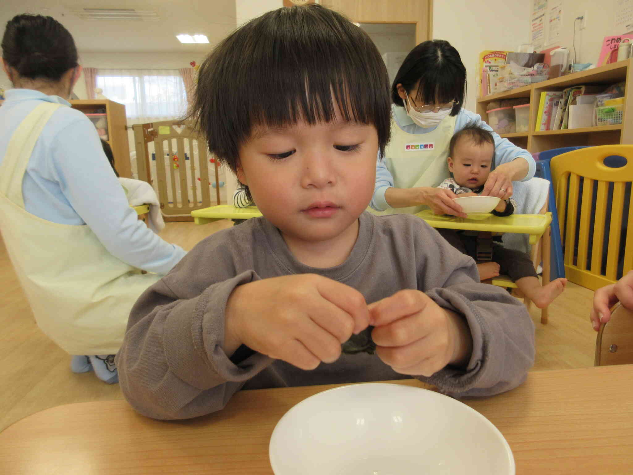 昆布を触ったよ！