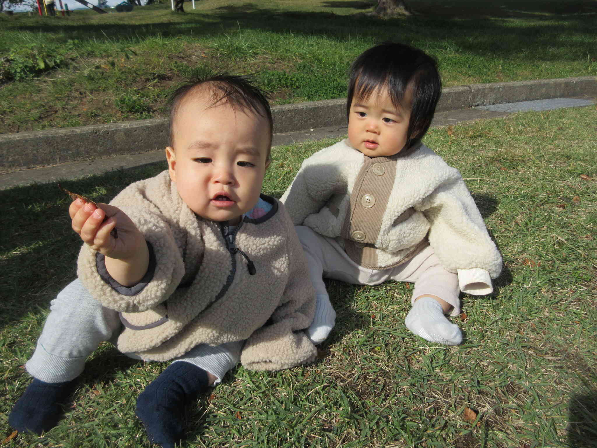 ひよこ組の大発見！　～０歳児～