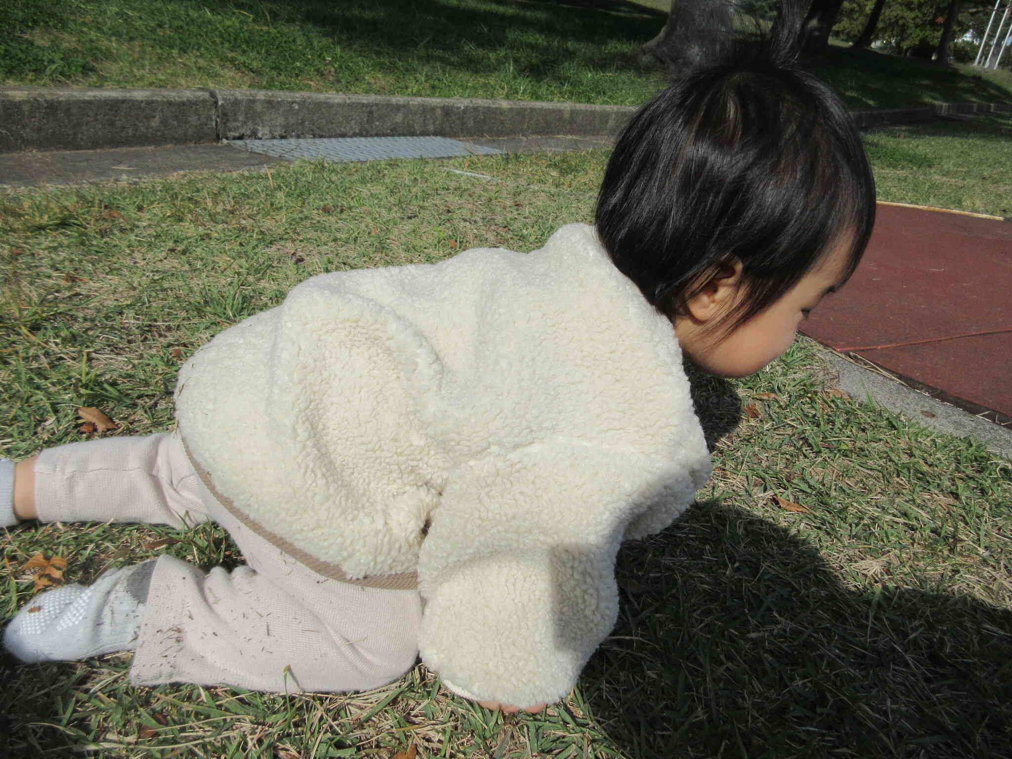 ハイハイで探索中！