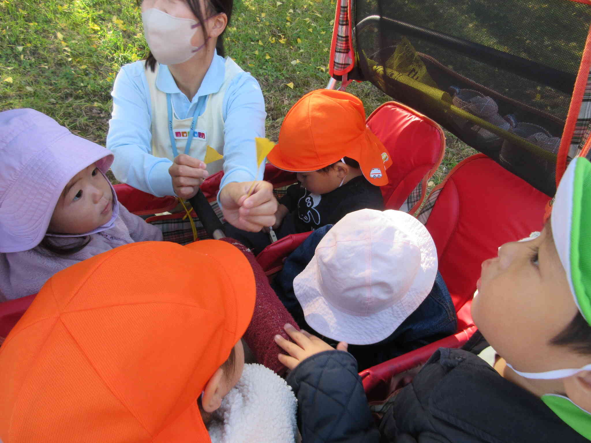 これ、何の葉っぱ？