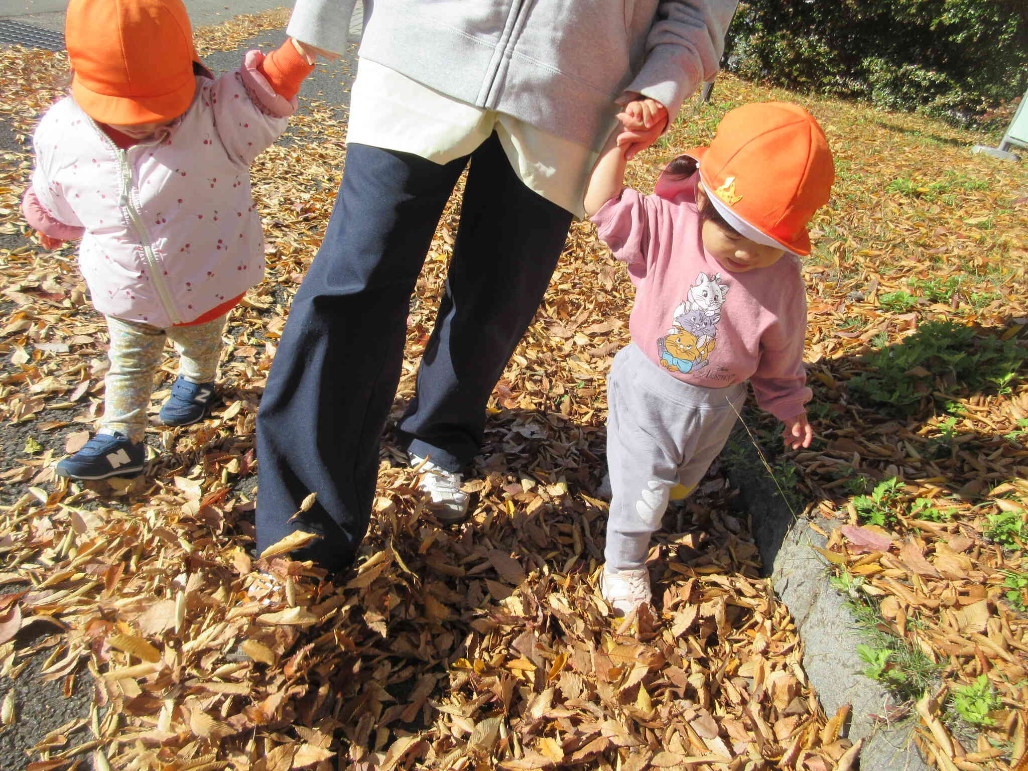 枯葉の道を歩こう！