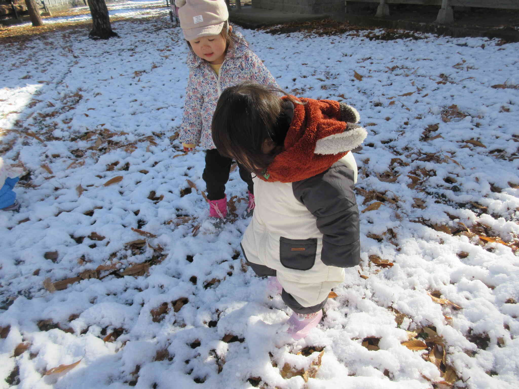 雪の上歩くと、ふかふかするね！
