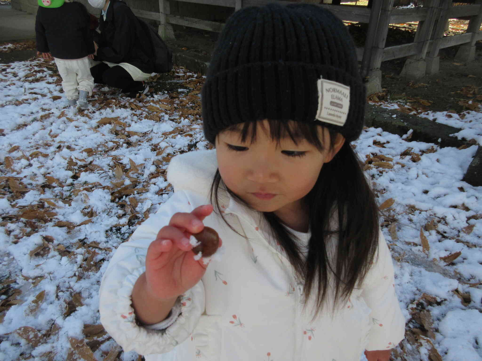 雪が降ったよ！