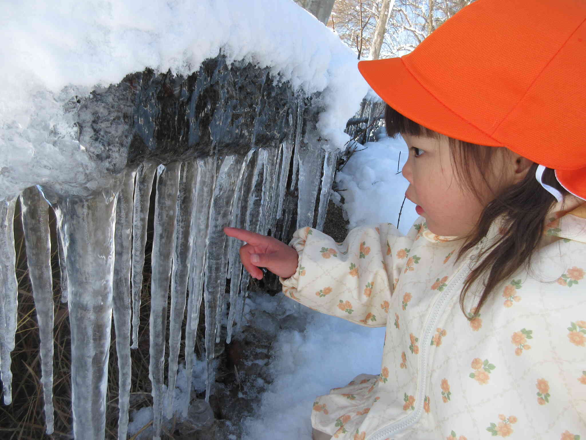 大きいつららみーつけた！