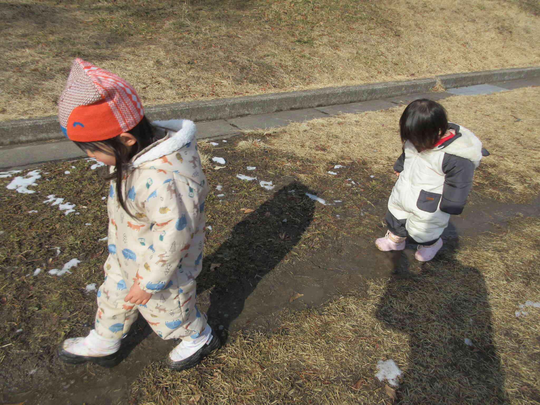 一緒に歩こう！