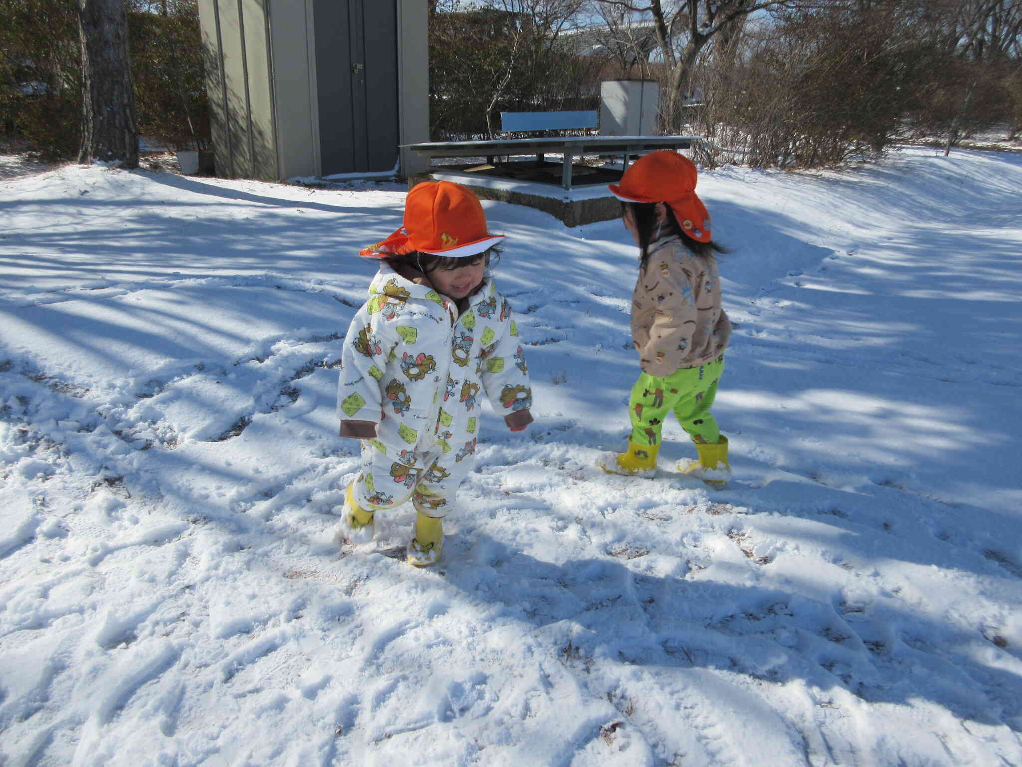一緒に雪の上走ると楽しいな！