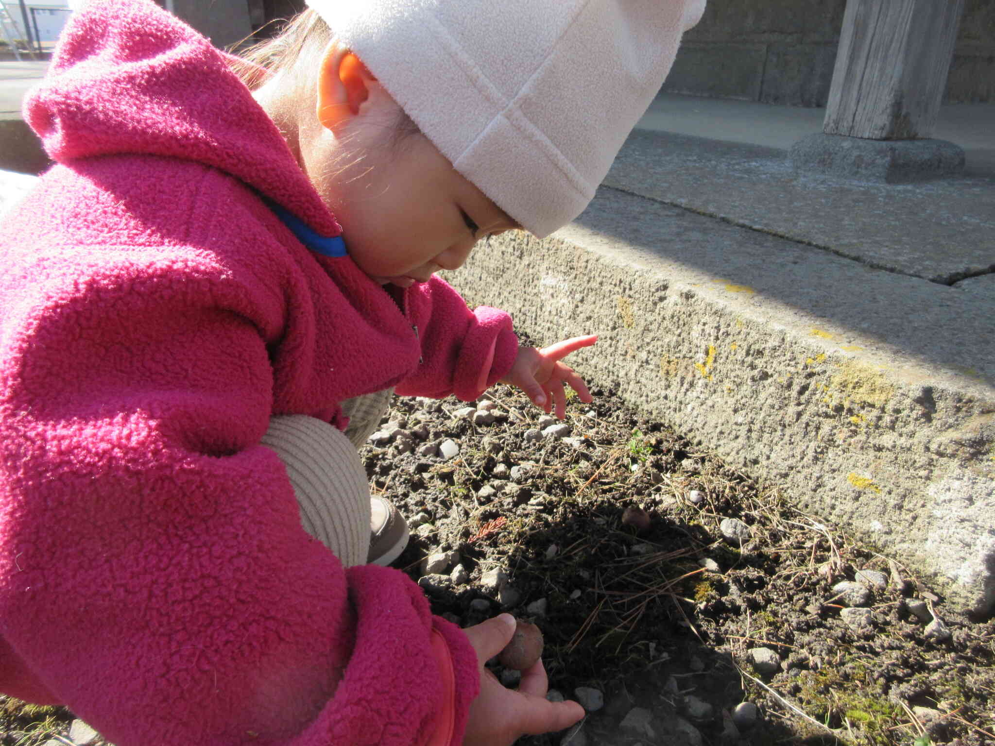 私はどんぐりをみつけたよ！