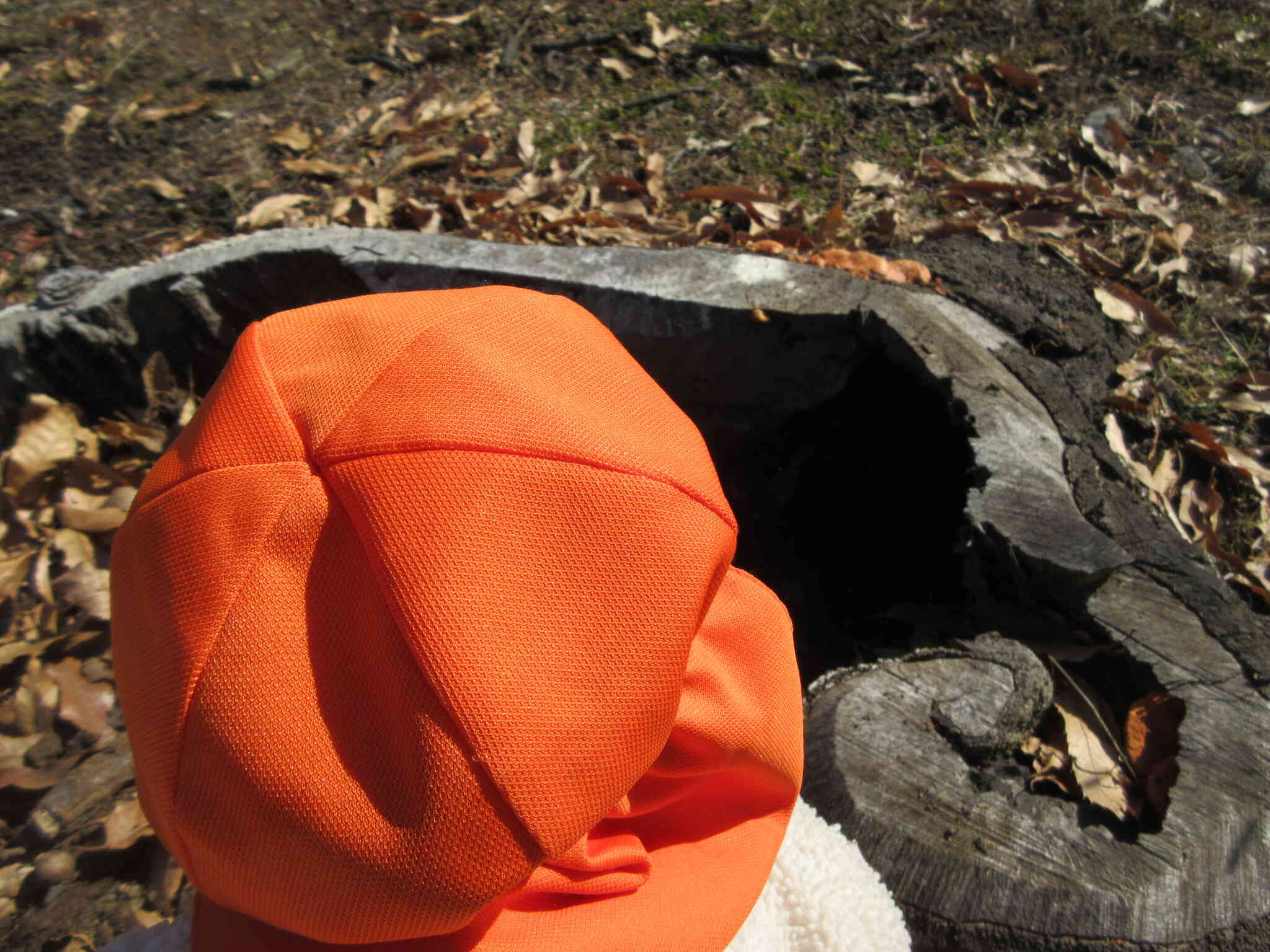 この穴の中には・・・誰がいるのかな？