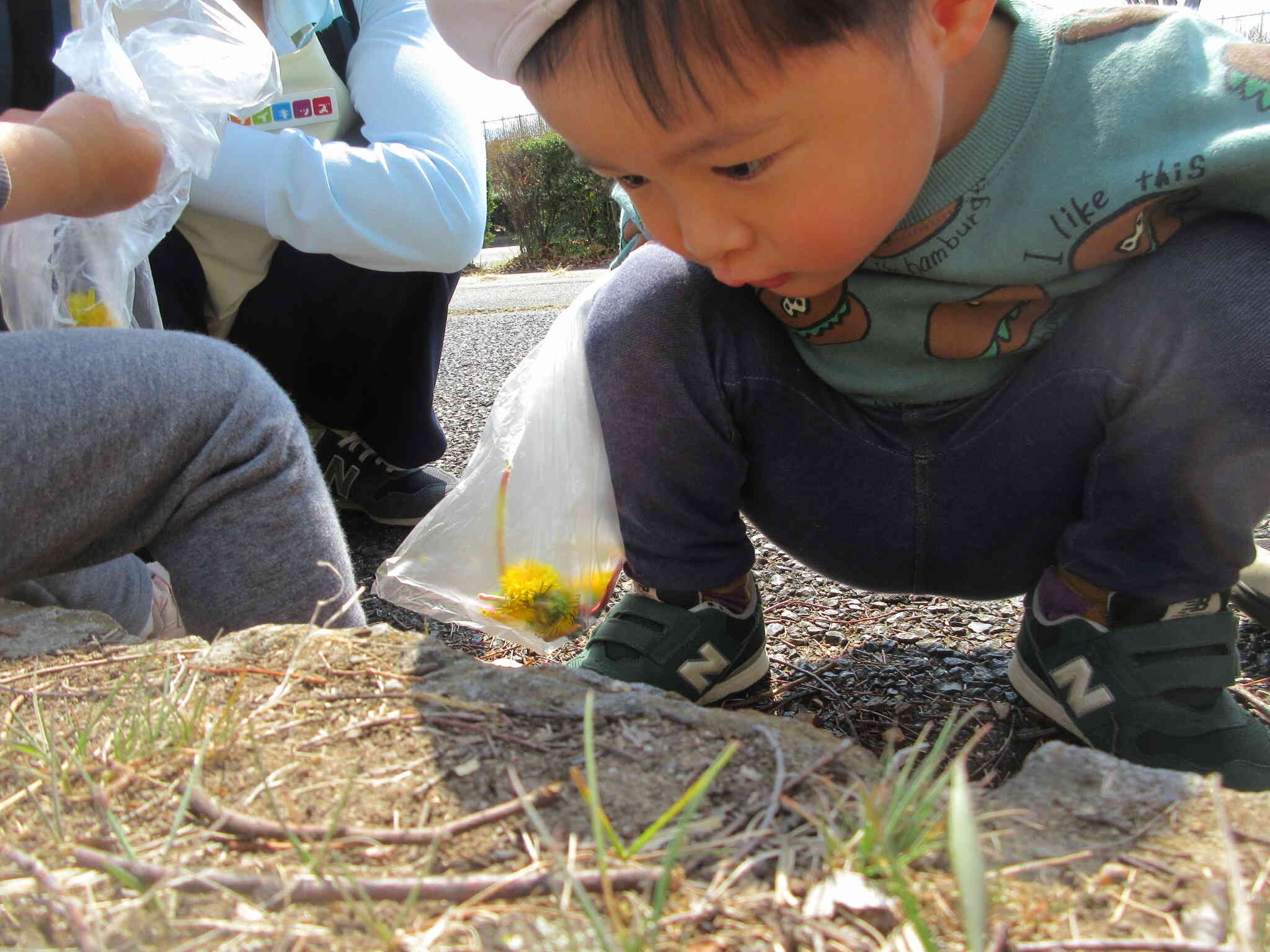 アリさん、こんにちは！