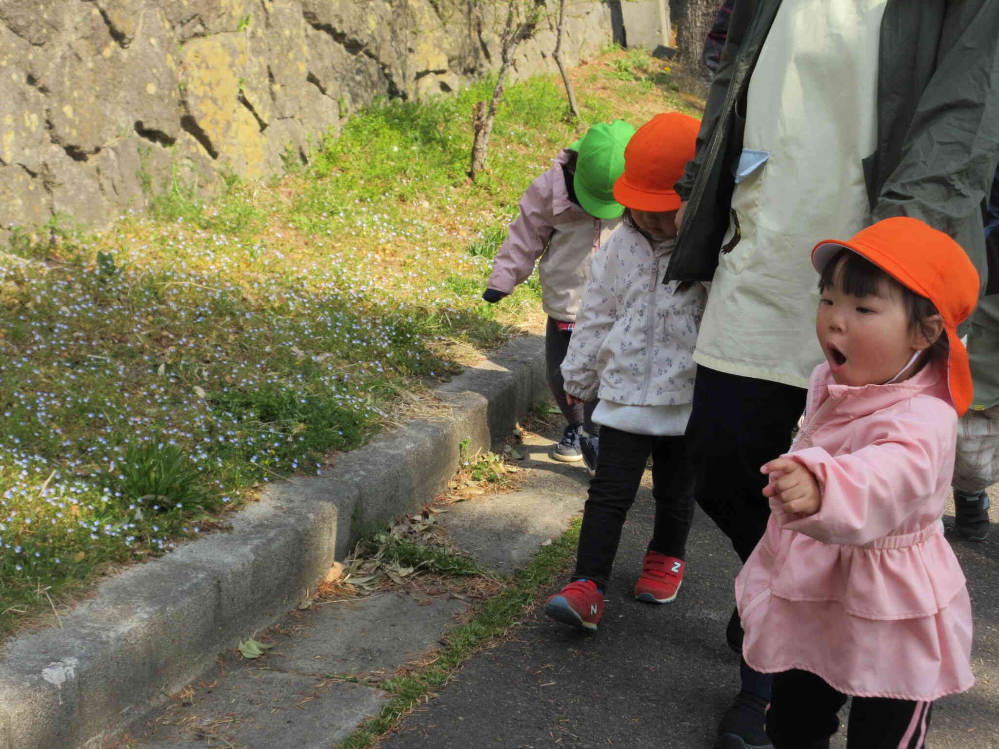 お花さん、こんにちは！