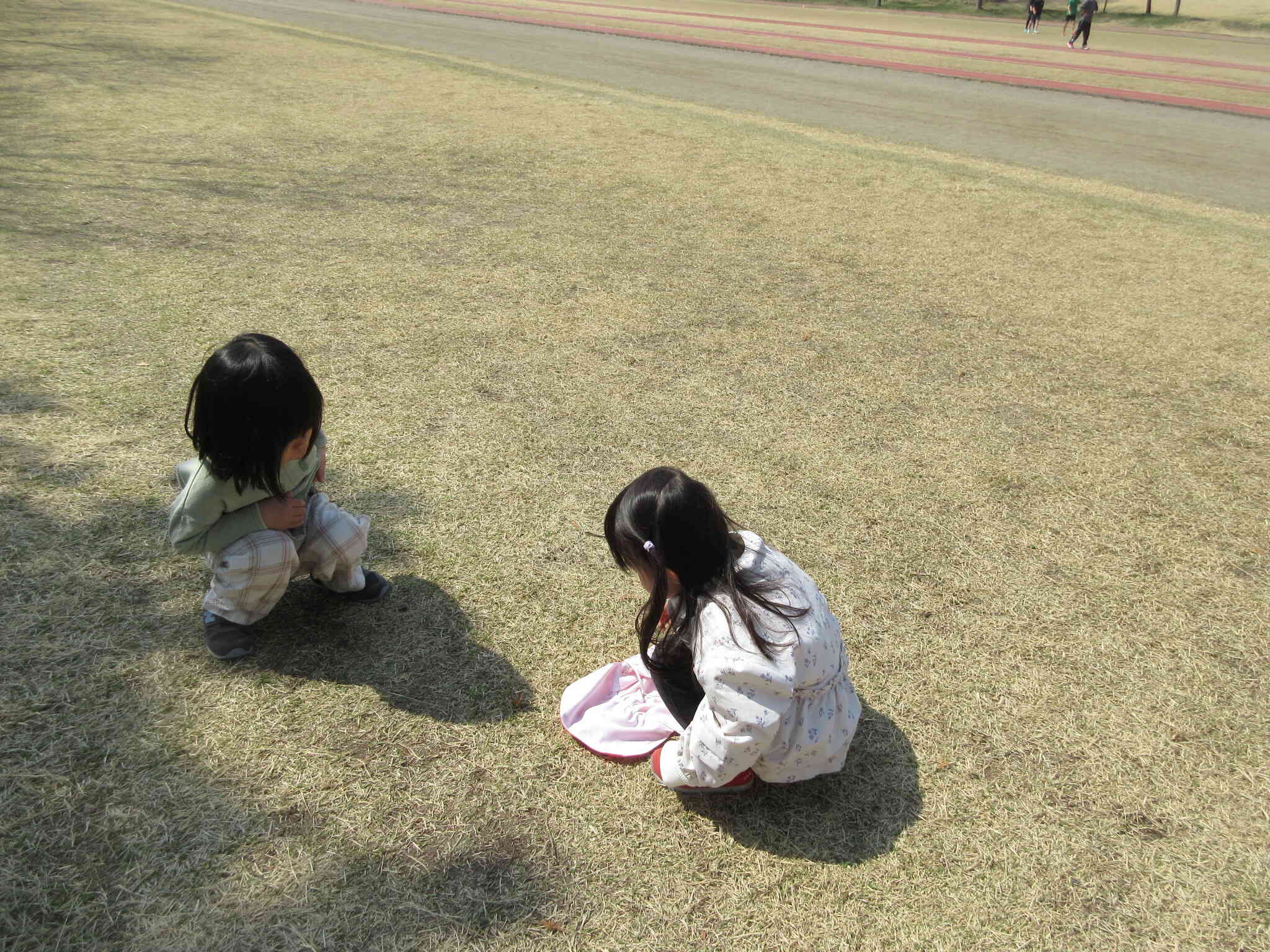 ちょうちょ、見つけた！