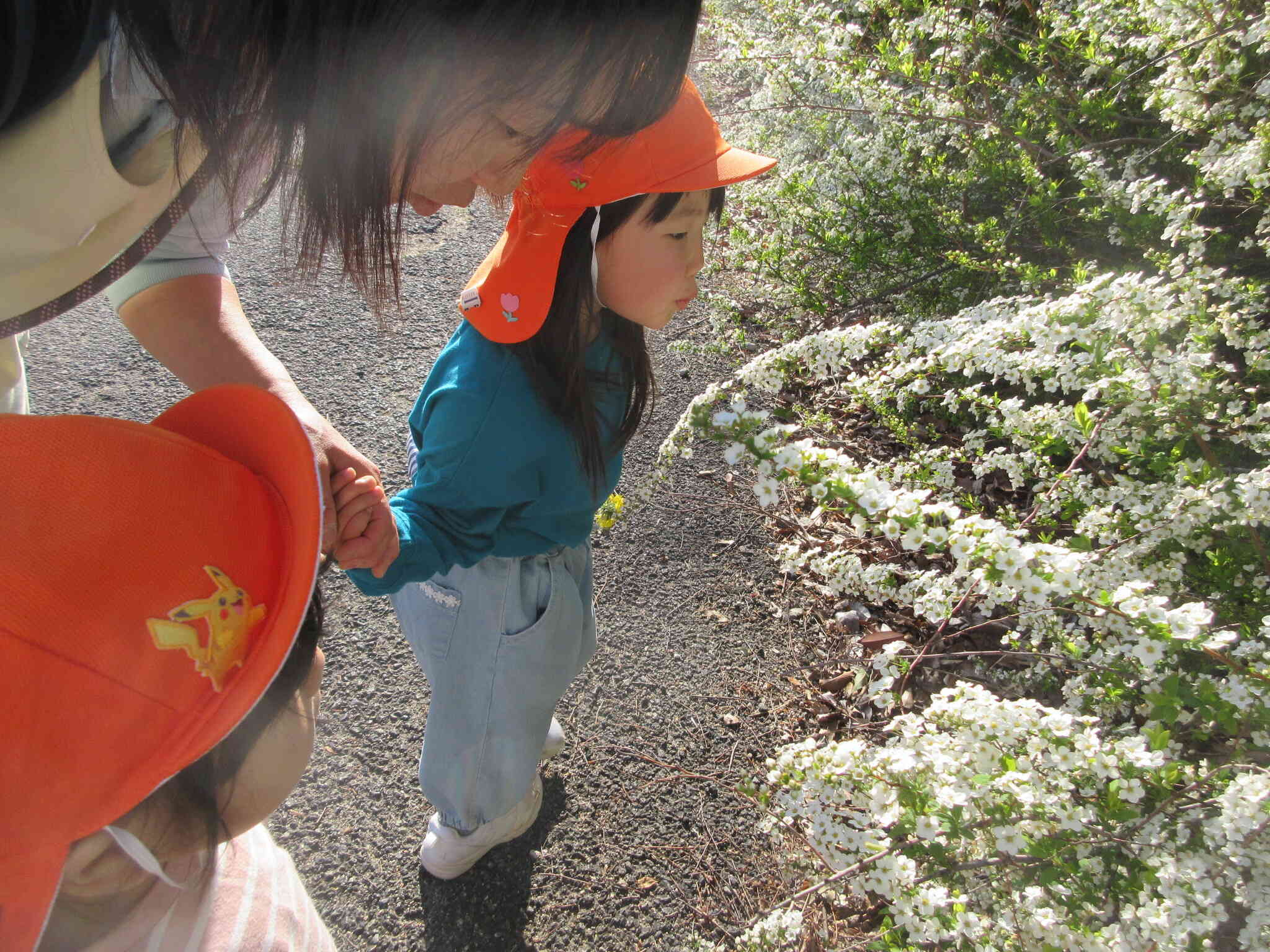 これ、なあに？