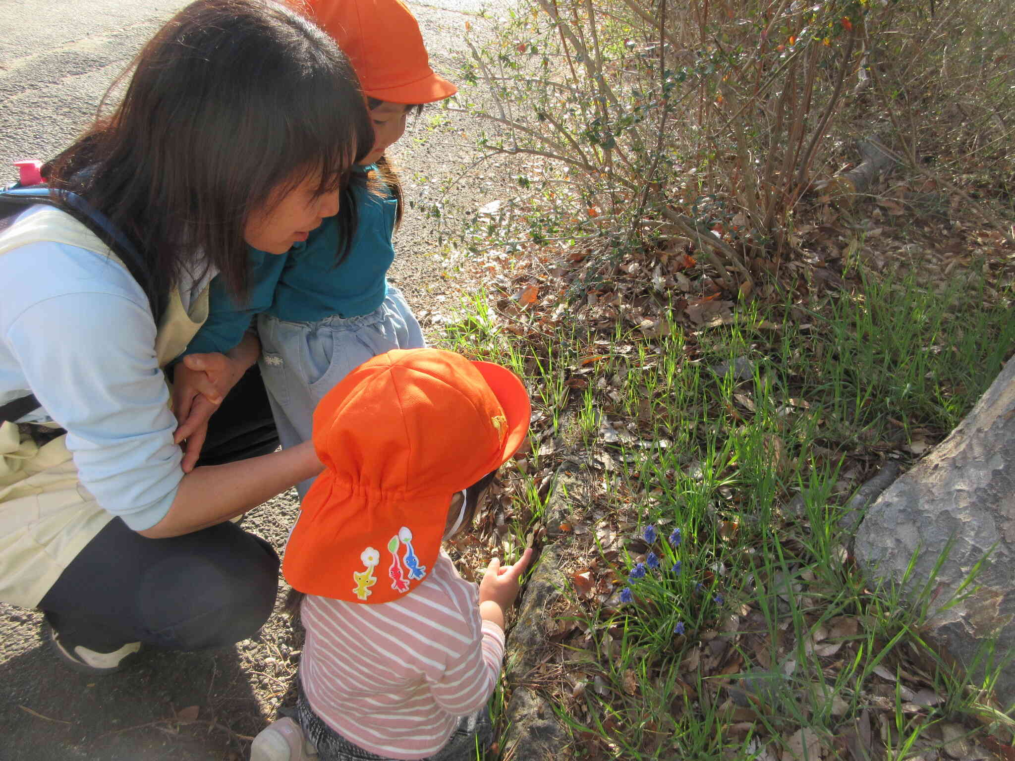 これ、ブドウみたい！