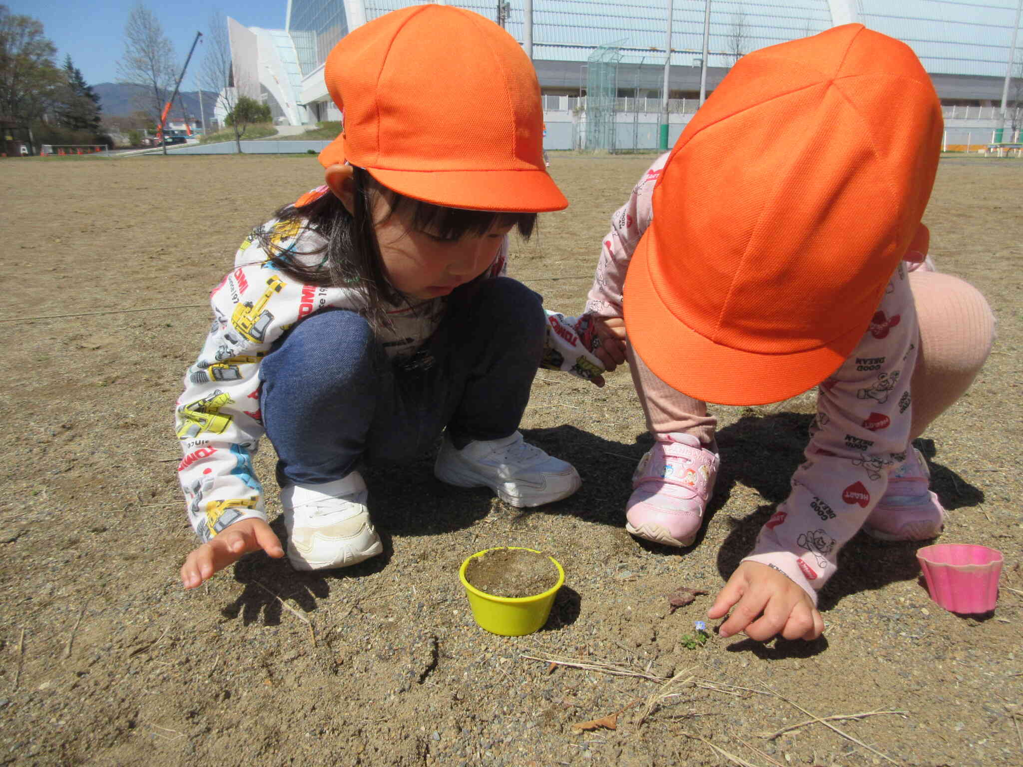 オオイヌノフグリ、見つけたよ！