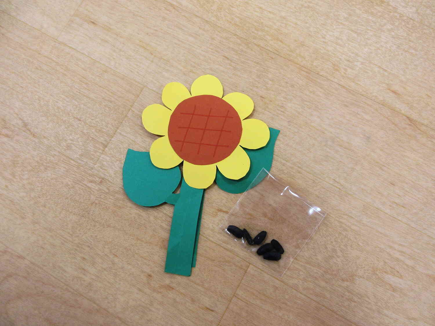 種を植えました！