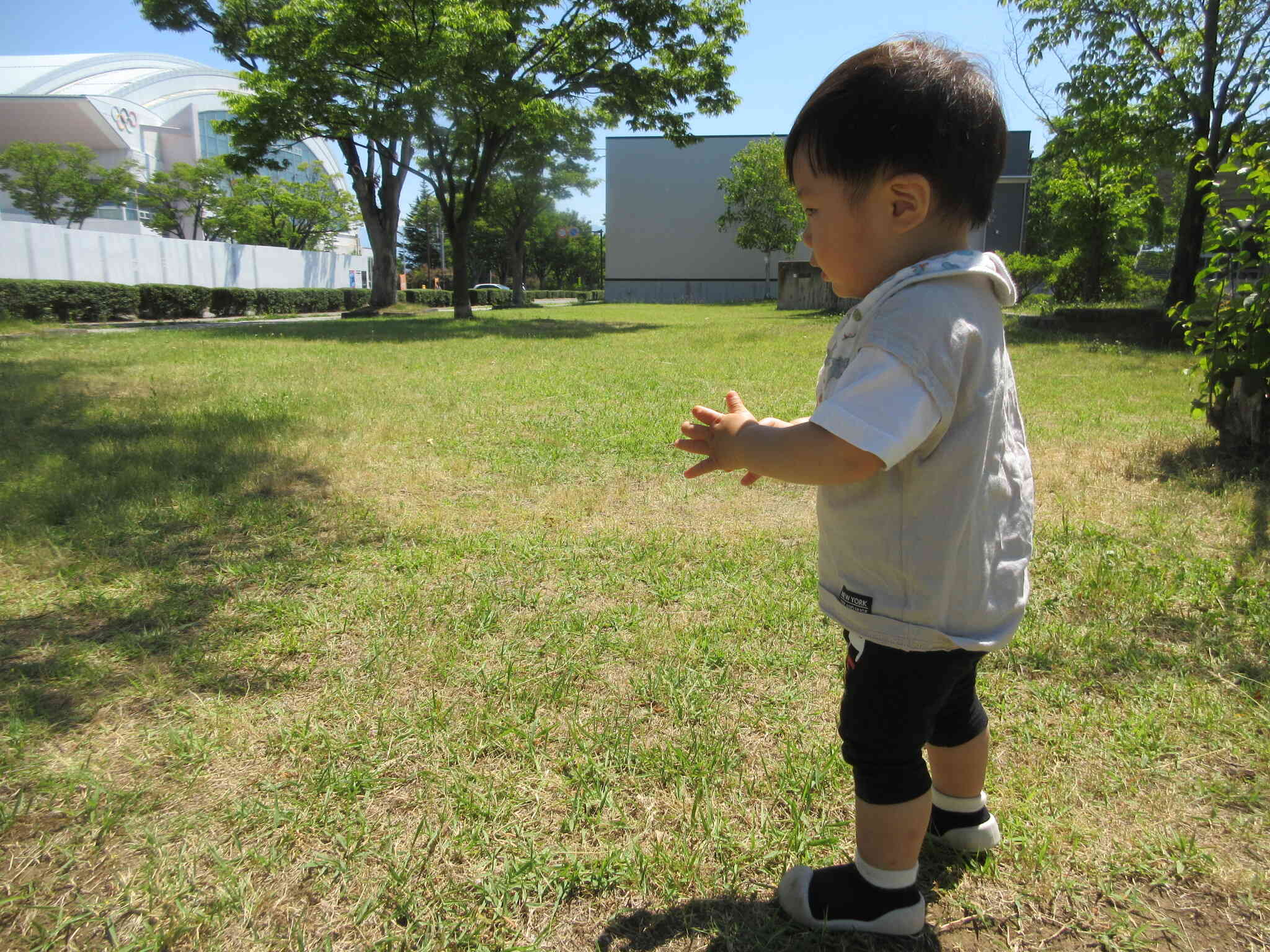 歩けるようになったんだ！