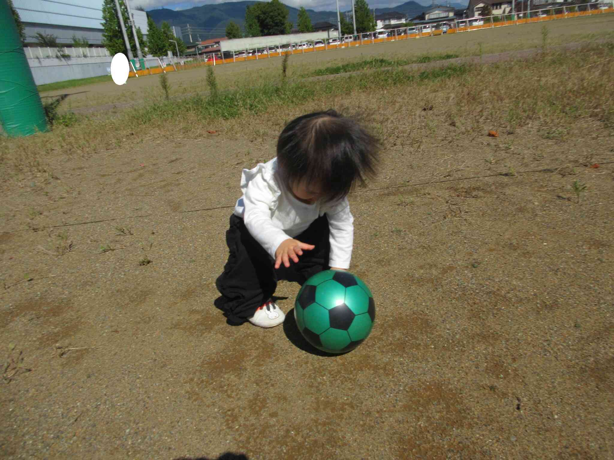 ボールさん逃げないで！